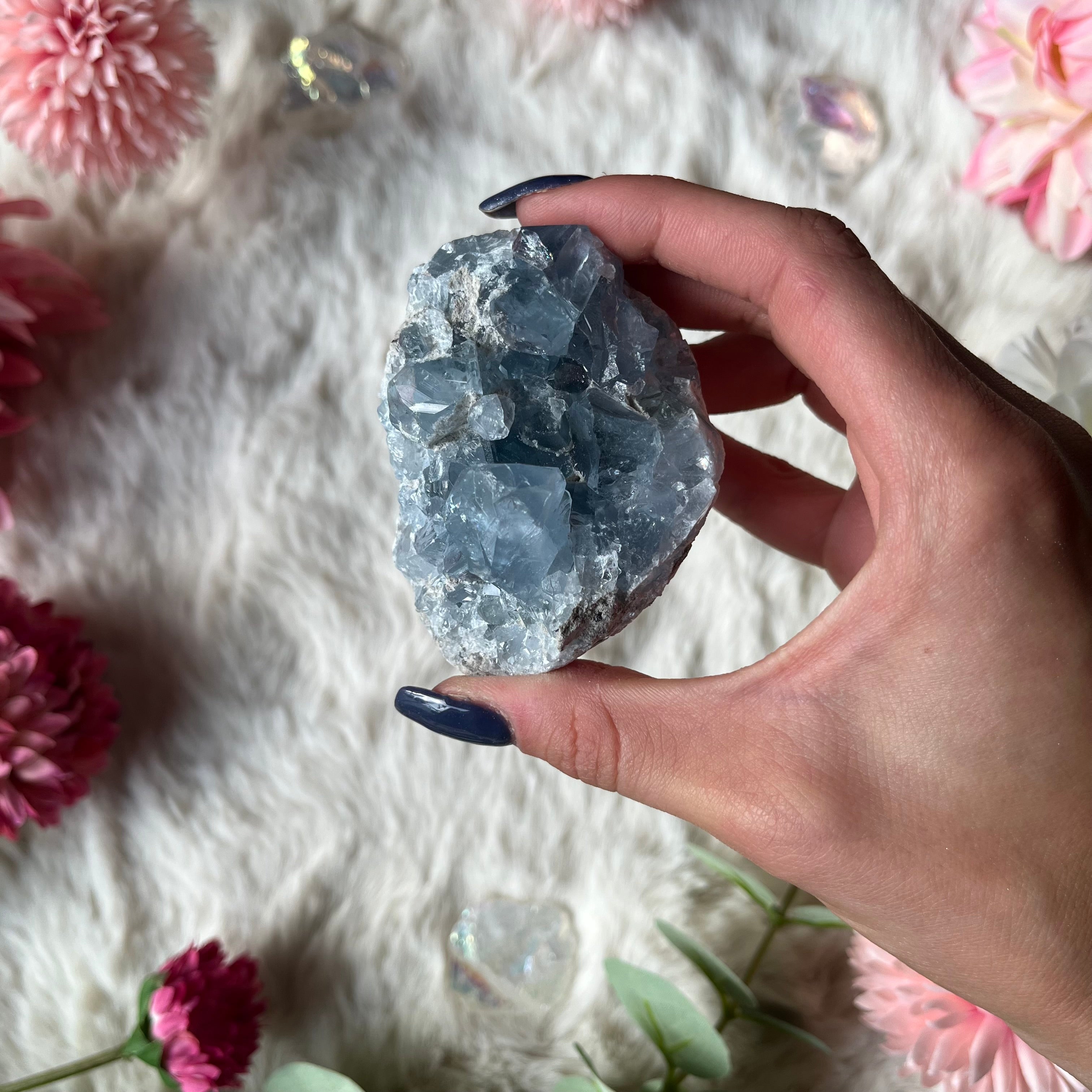 Coalestin Stufe 109-116