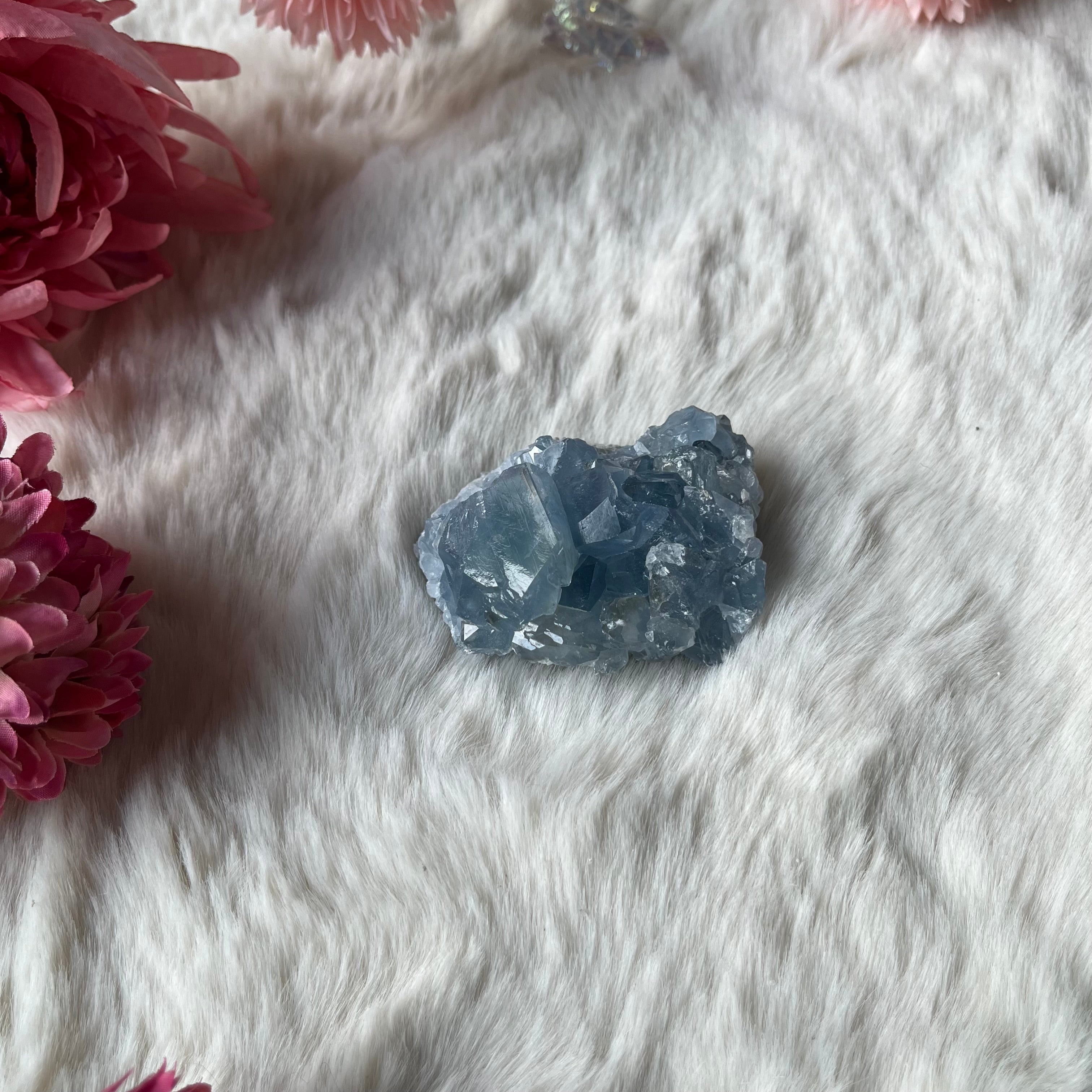 Coalestin Stufe 109-116