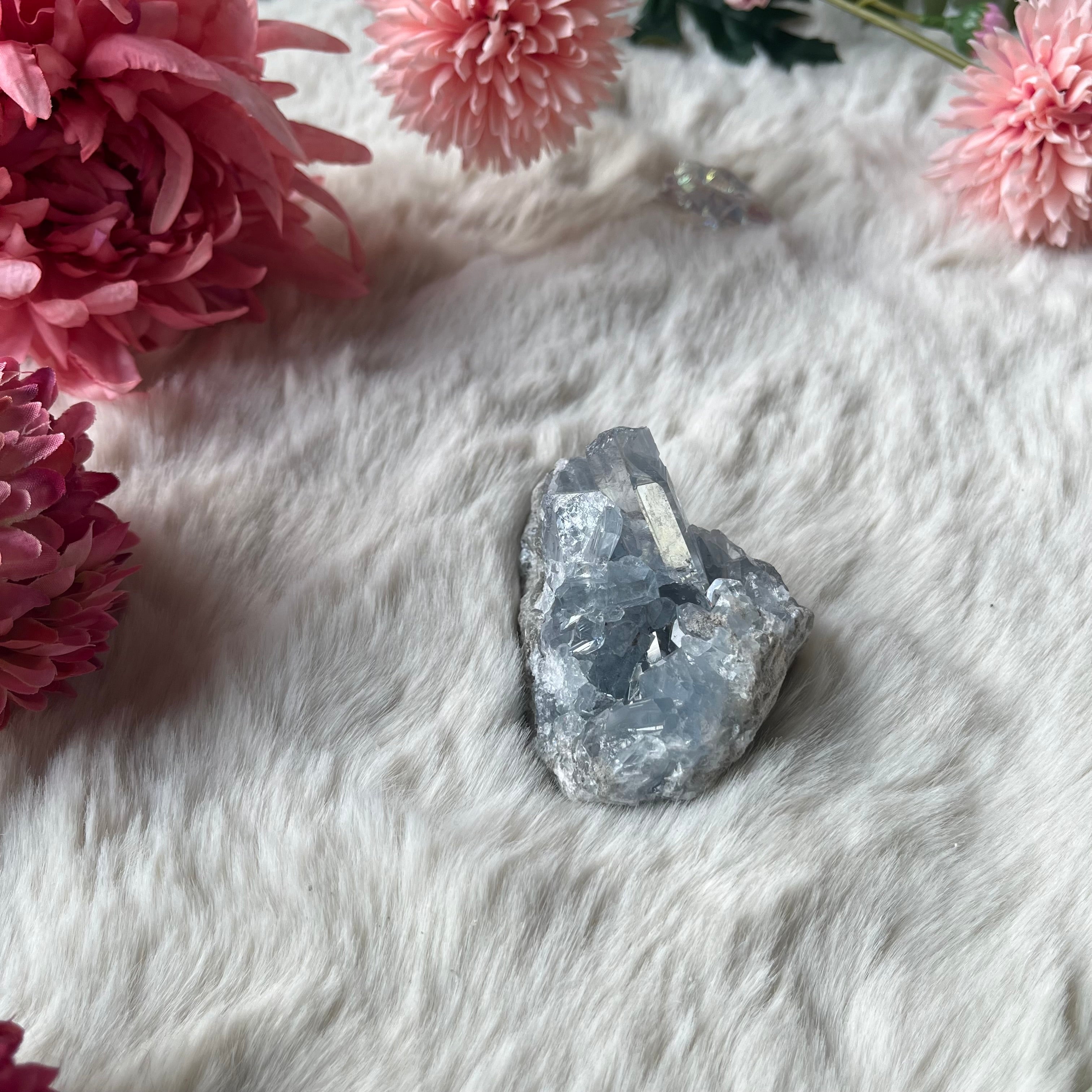 Coalestin Stufe 109-116