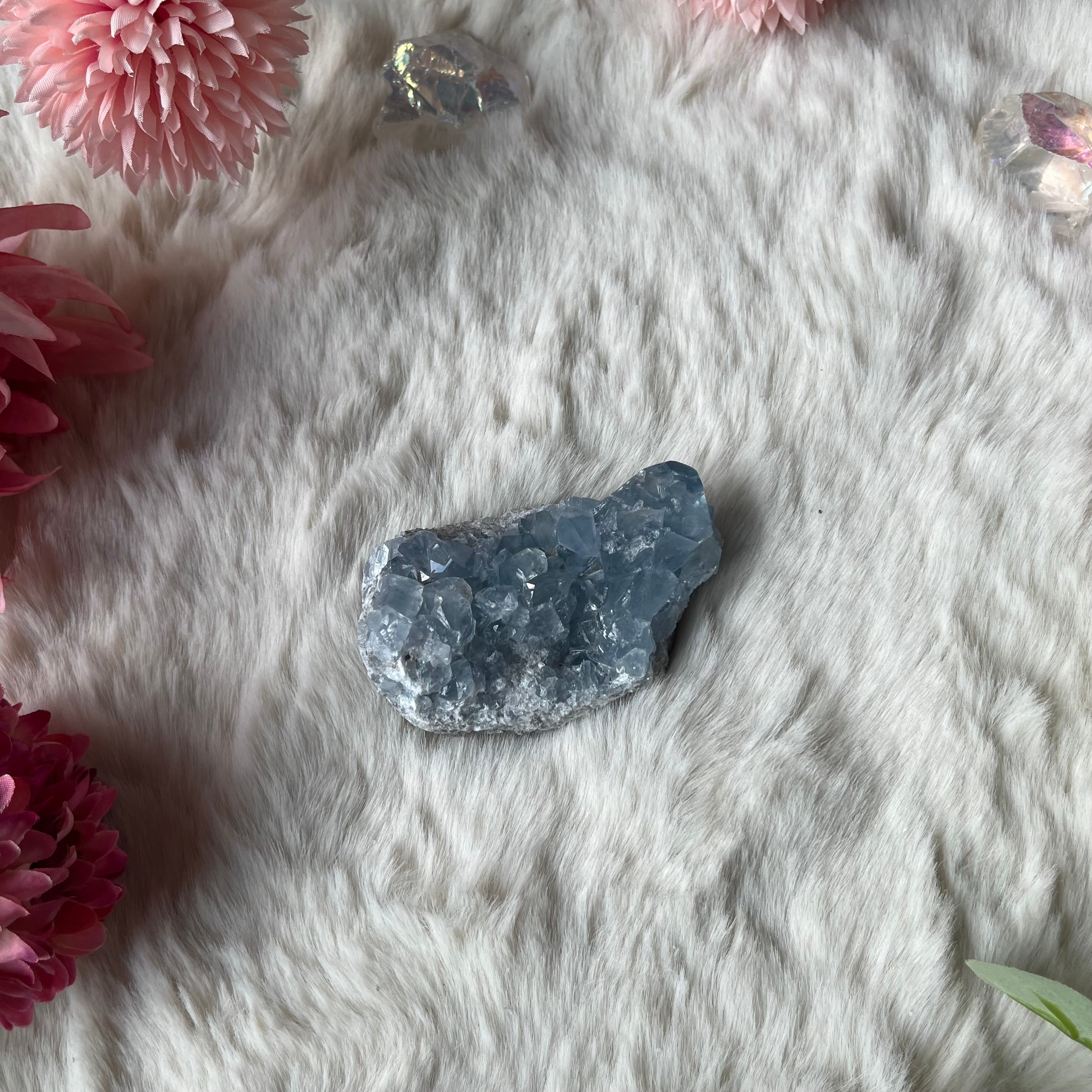 Coalestin Stufe 109-116