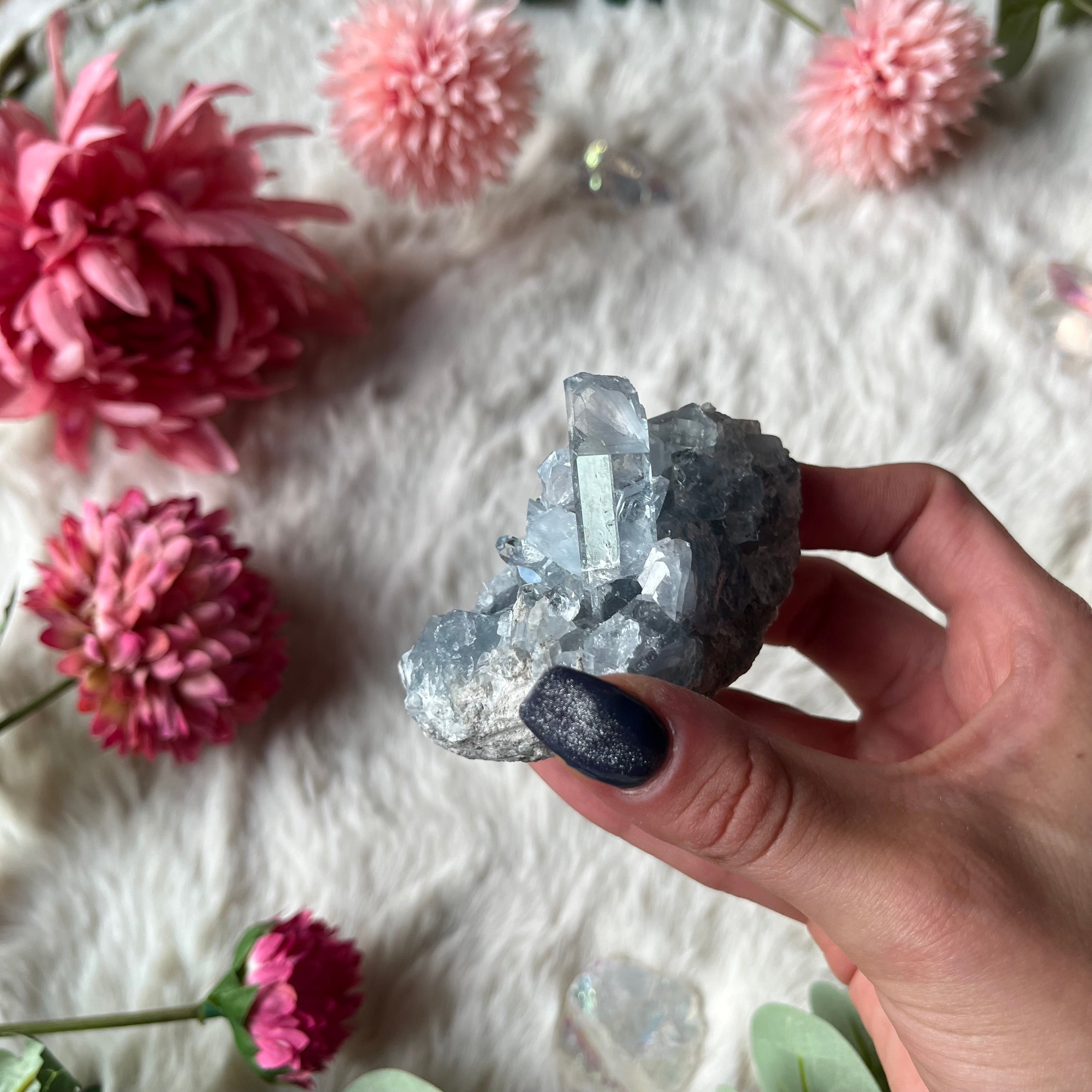 Coalestin Stufe 109-116