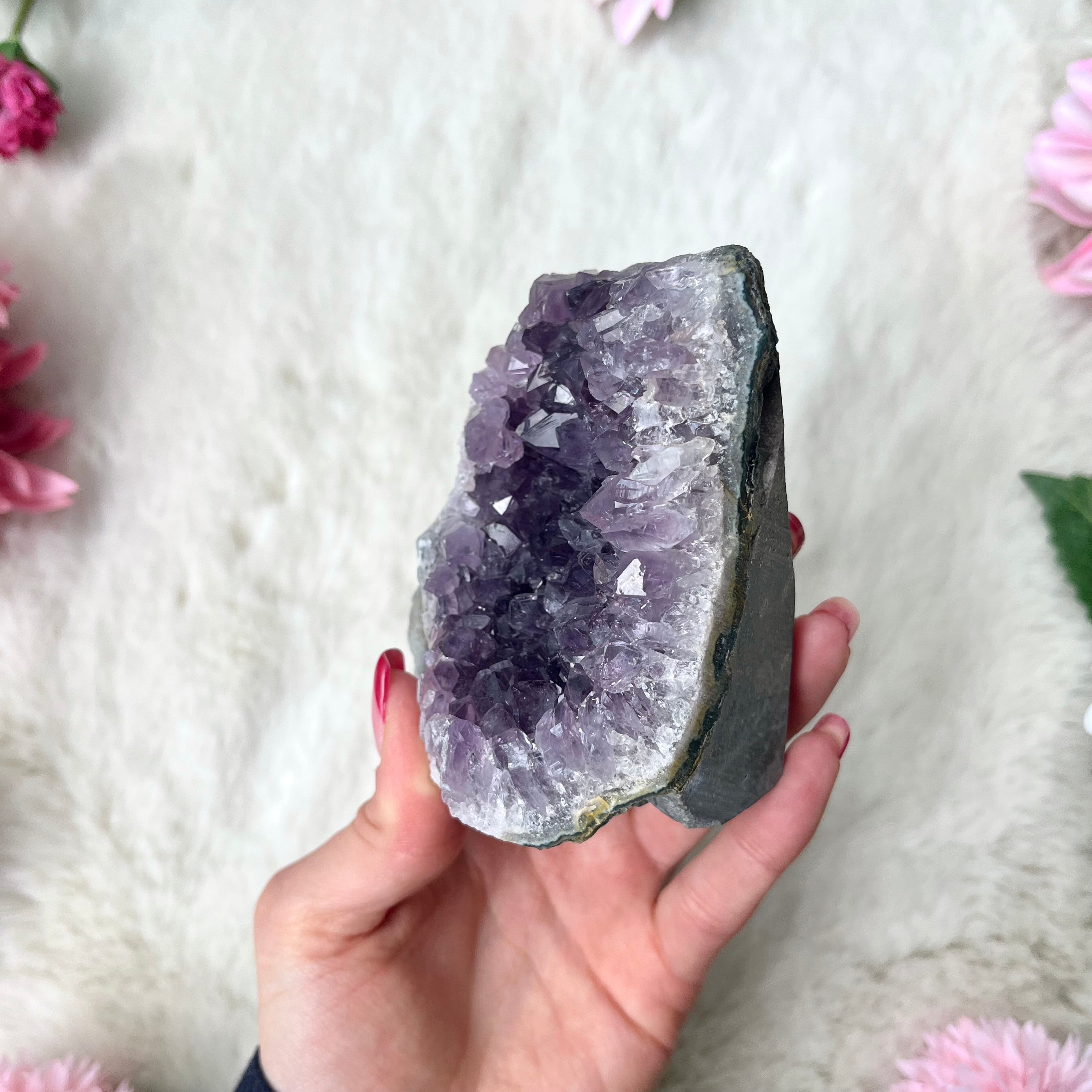 Amethyst Druse 343