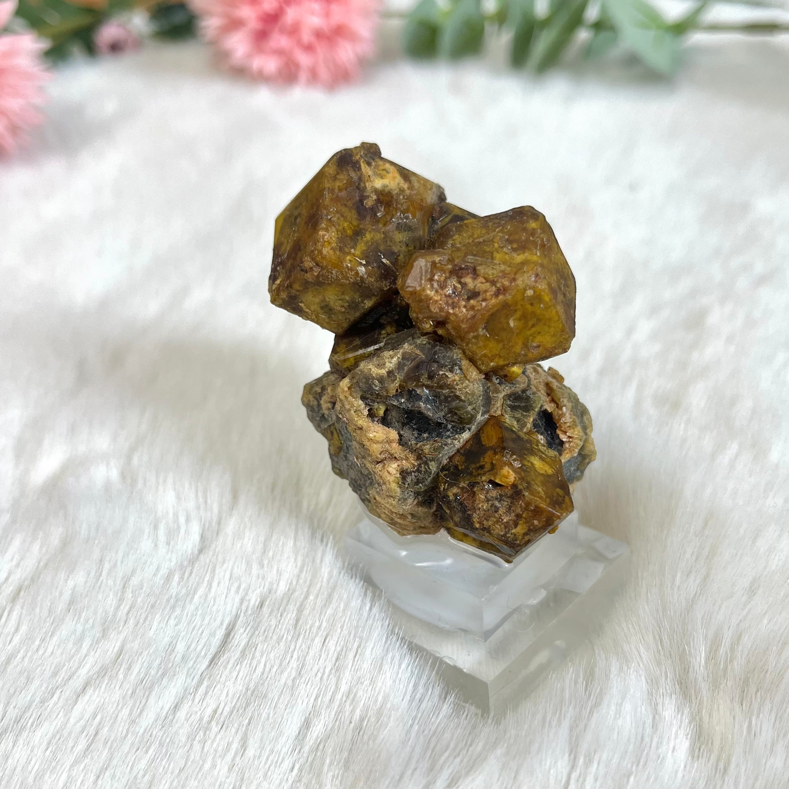 Granat Formation Natur 157