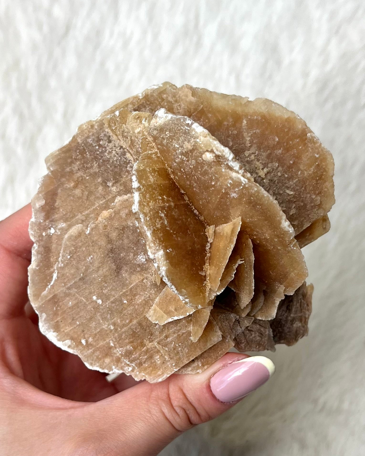 Sandrose Naturform 415
