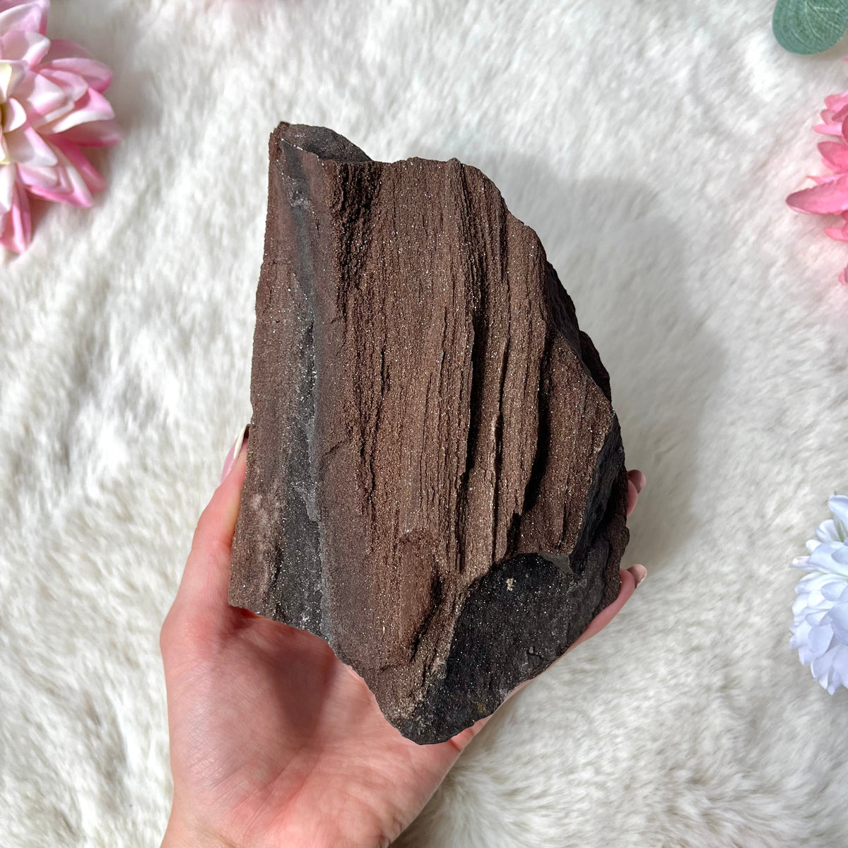 Feenholz Stück 429