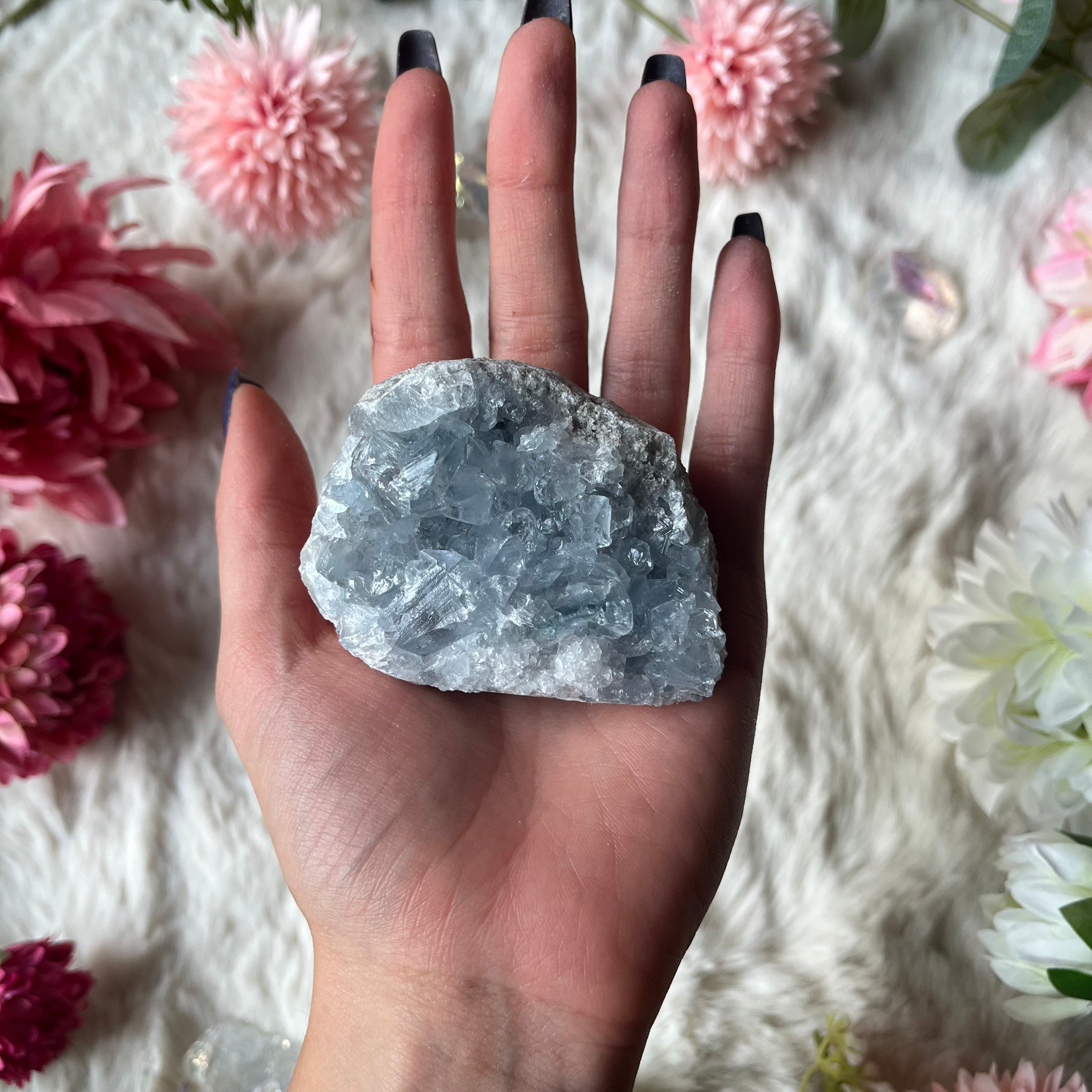 Coalestin Stufe 109-116