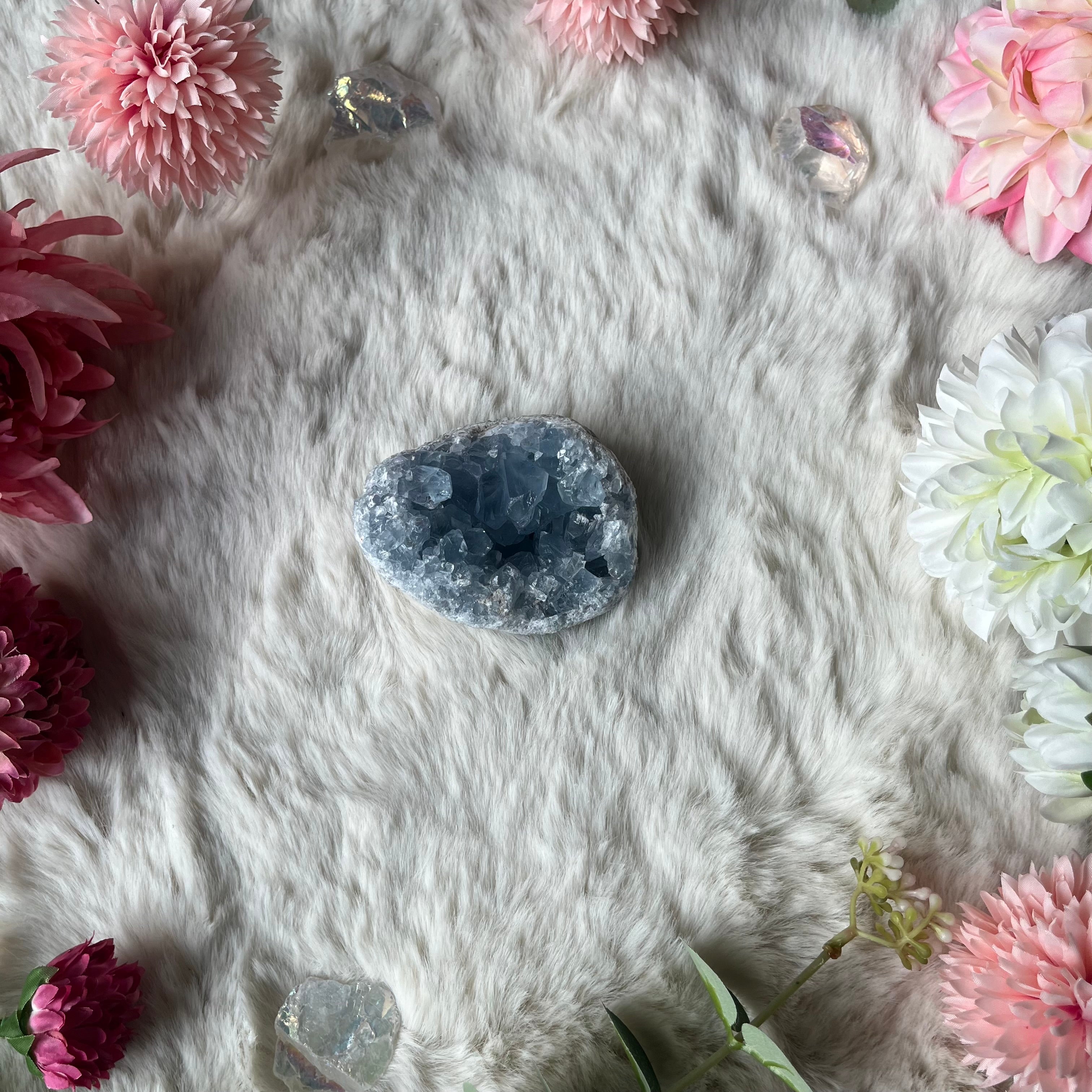 Coalestin Stufe 109-116