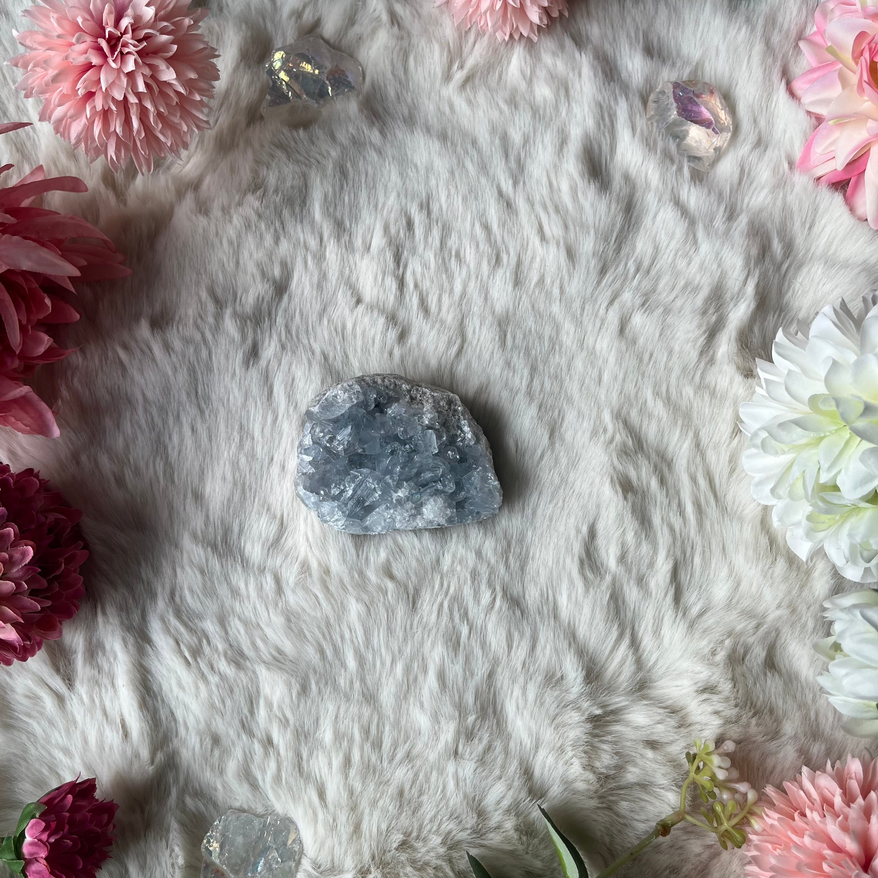 Coalestin Stufe 109-116