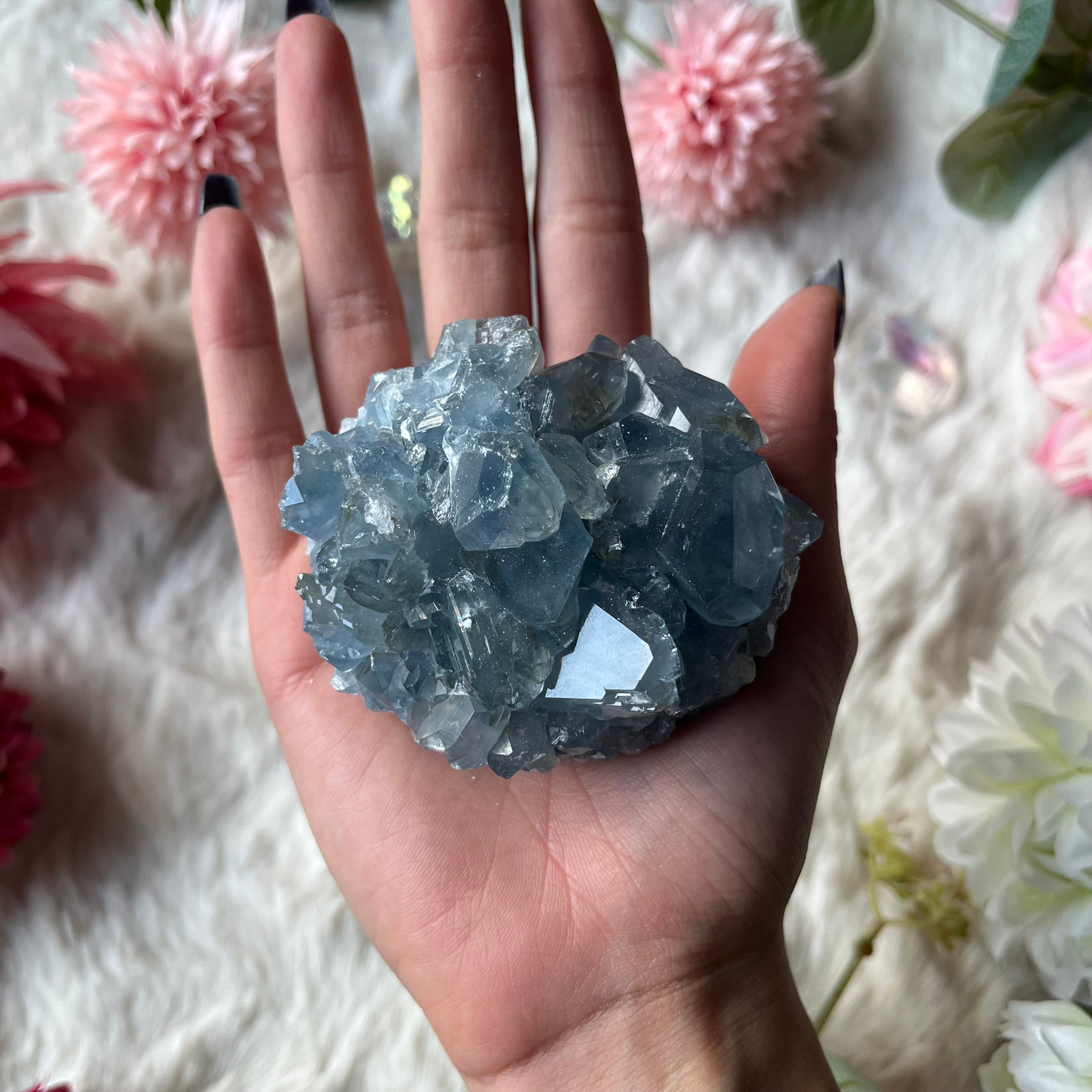 Coalestin Stufe 109-116