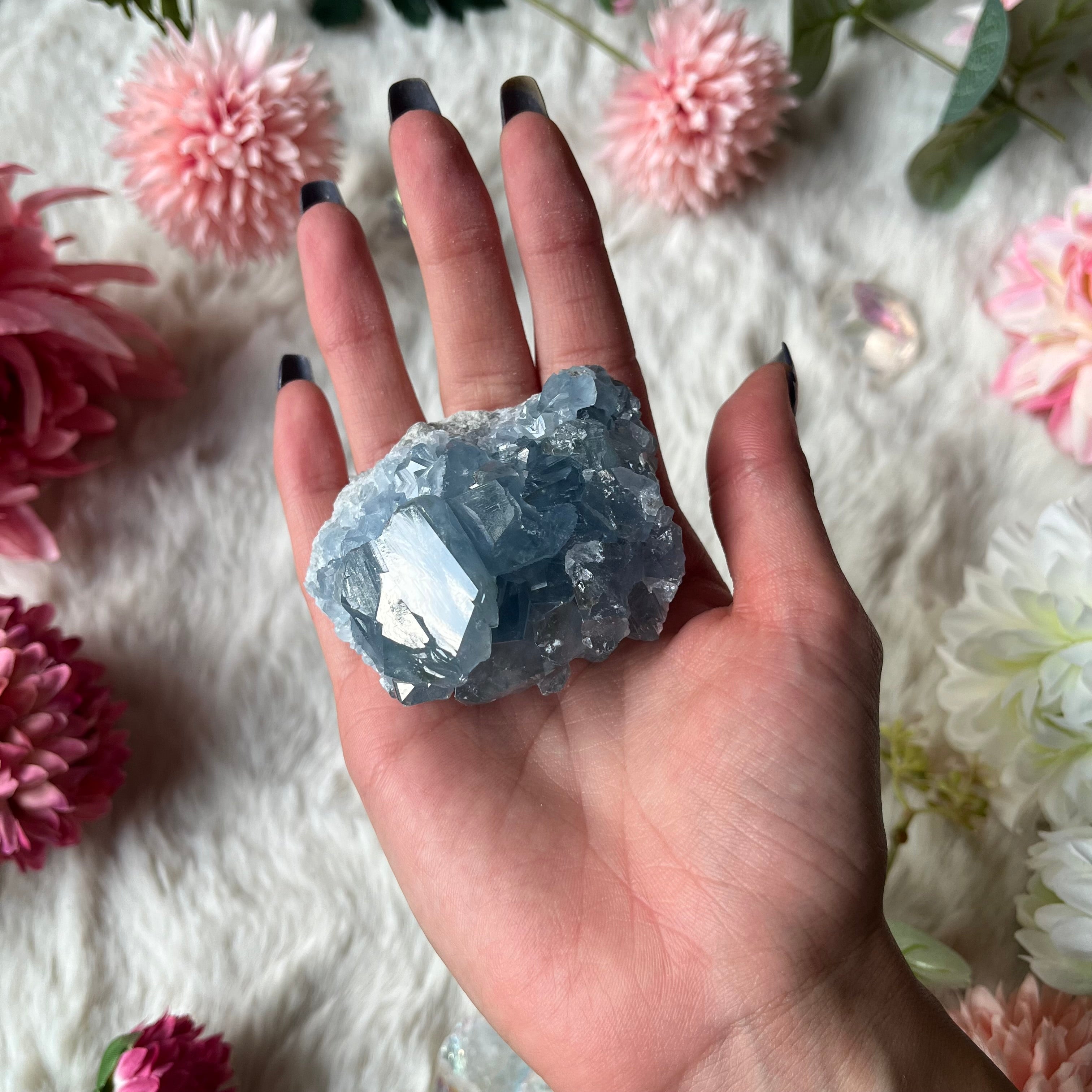 Coalestin Stufe 109-116