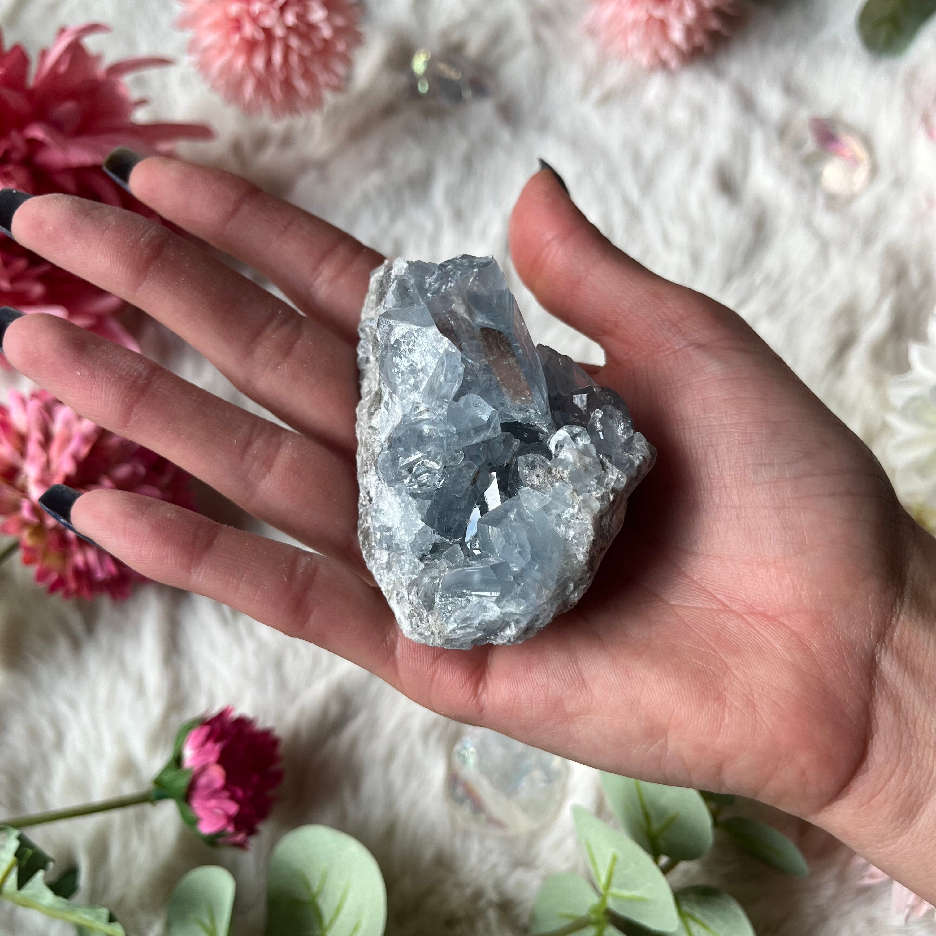 Coalestin Stufe 109-116