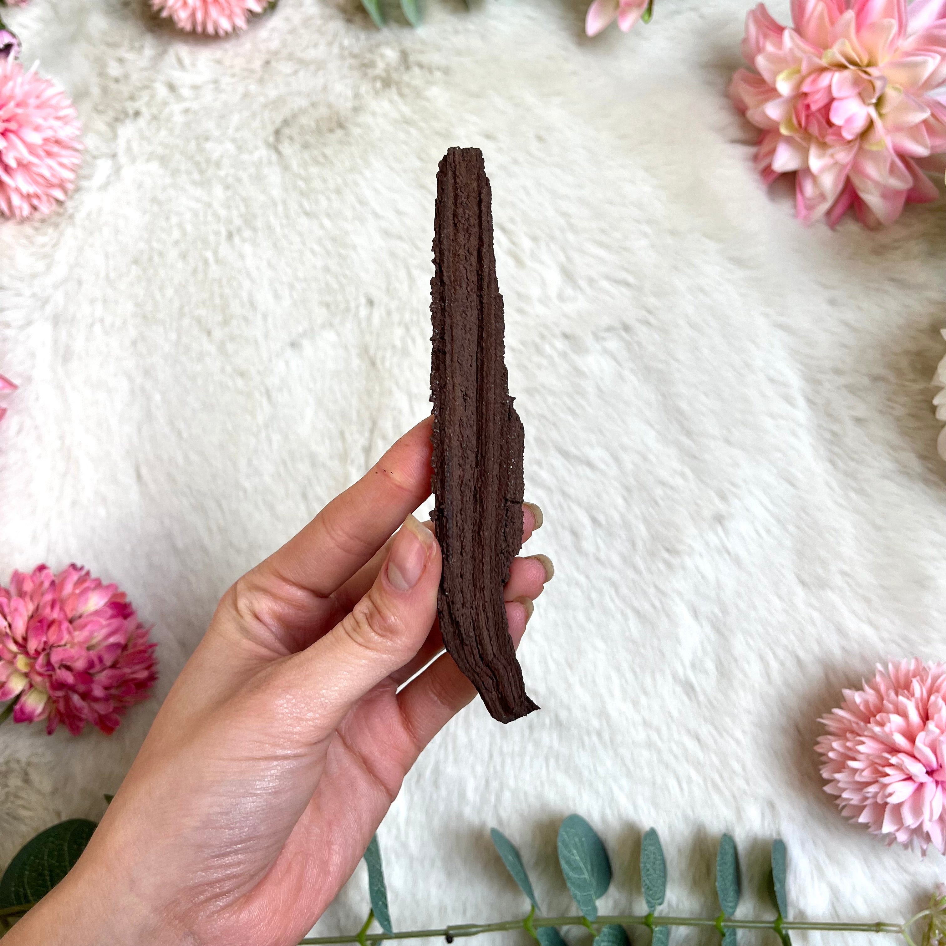 Versteinertes Holz 218-219