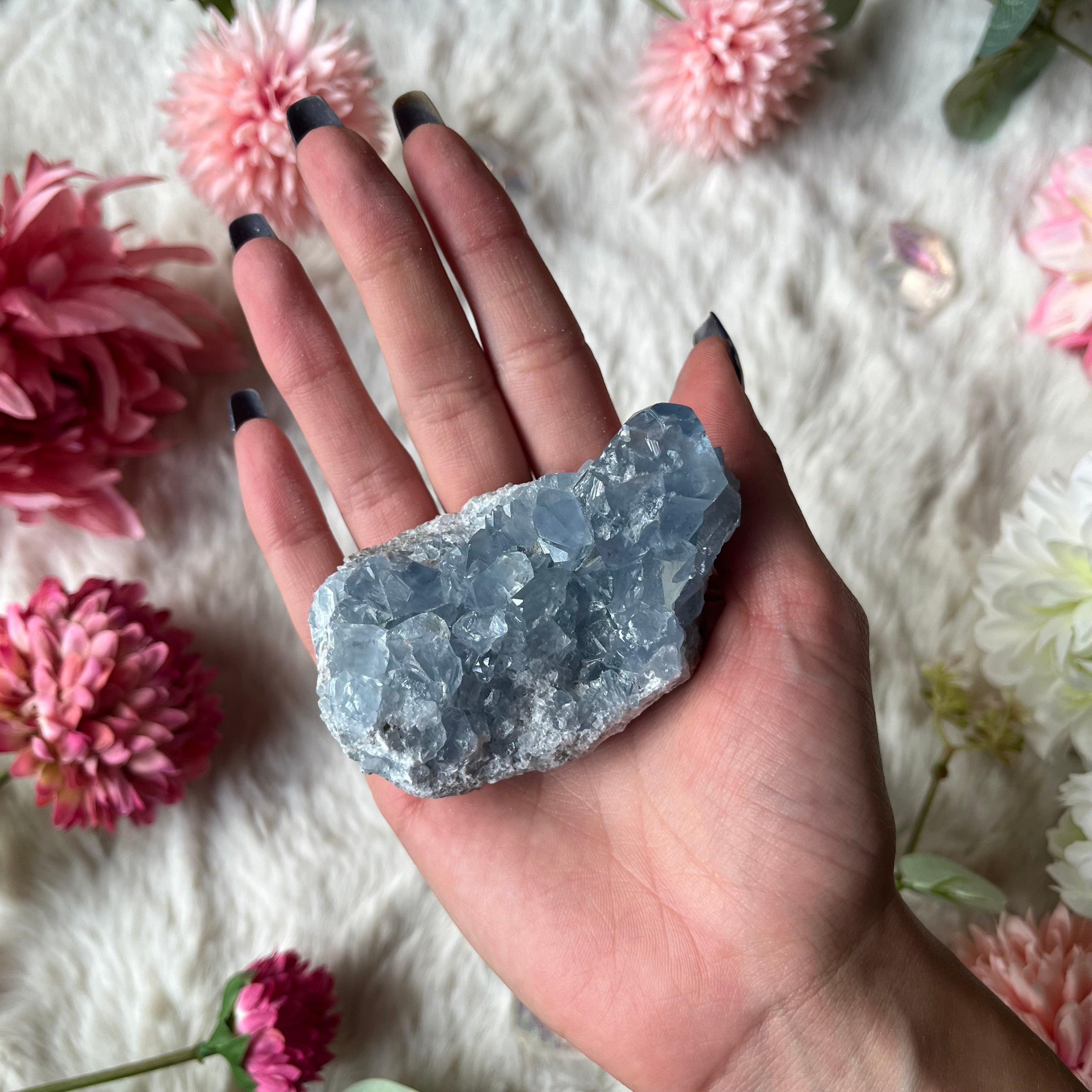 Coalestin Stufe 109-116