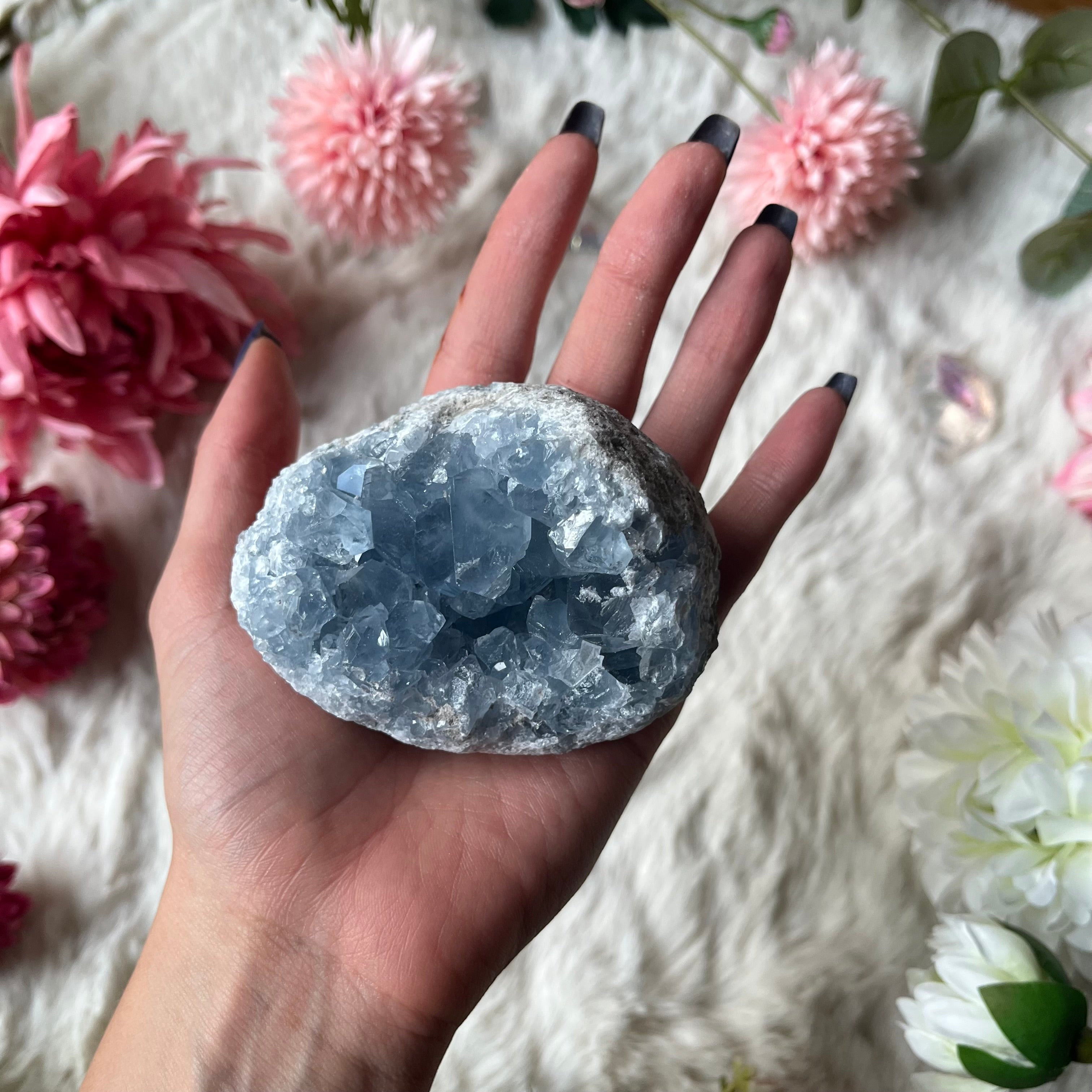 Coalestin Stufe 109-116