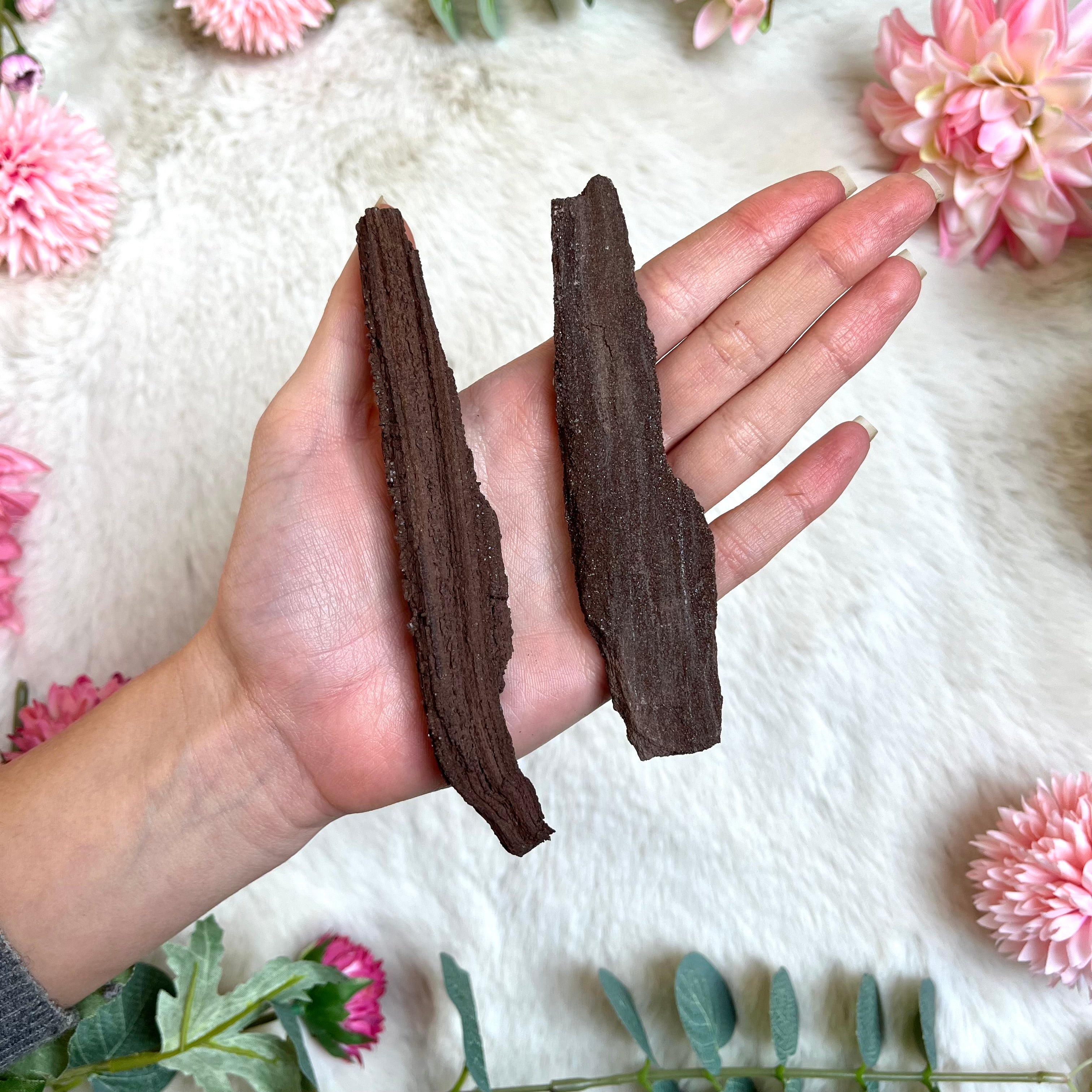 Versteinertes Holz 218-219