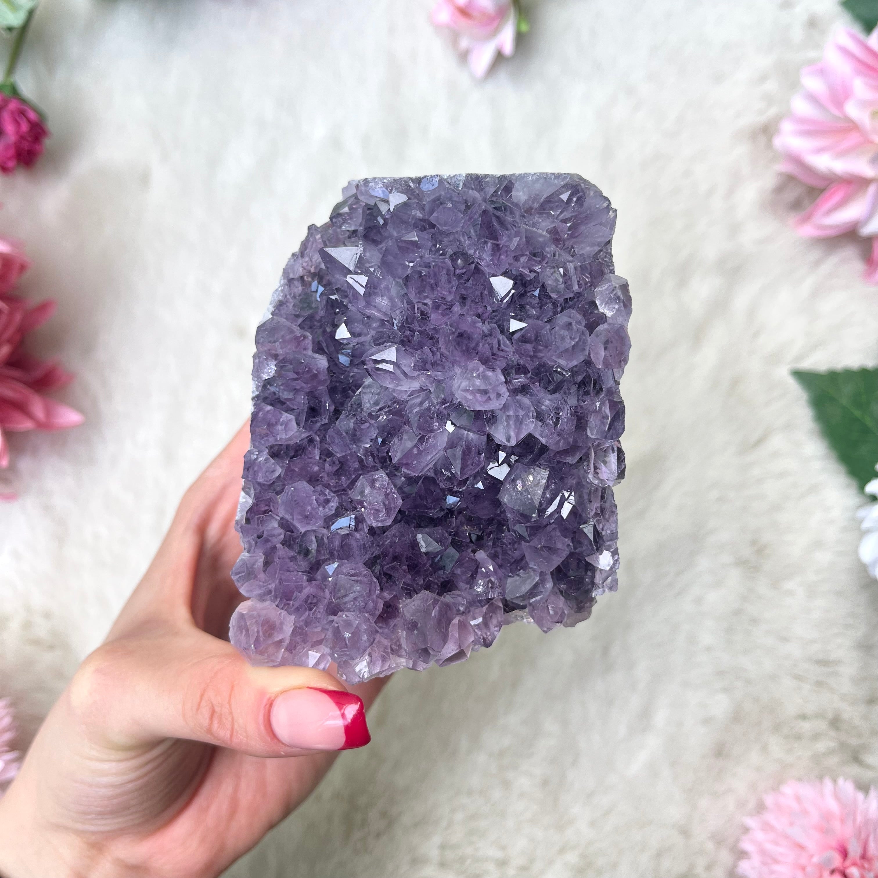 Amethyst Druse 342
