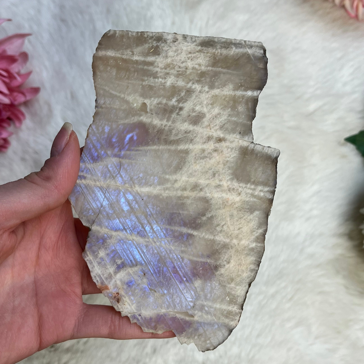 Mondstein Scheibe 183