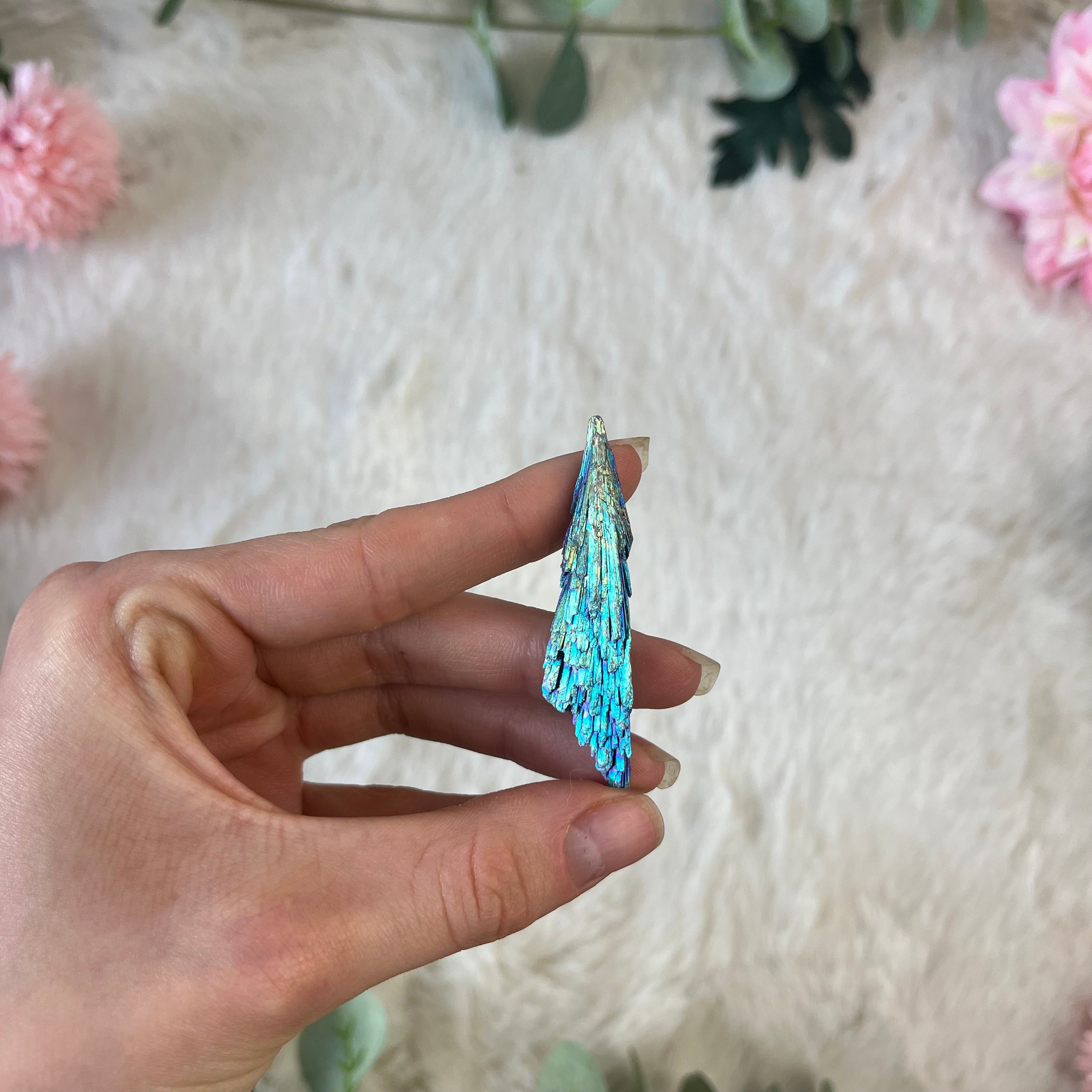 Angel Aura Kyanit Stücke