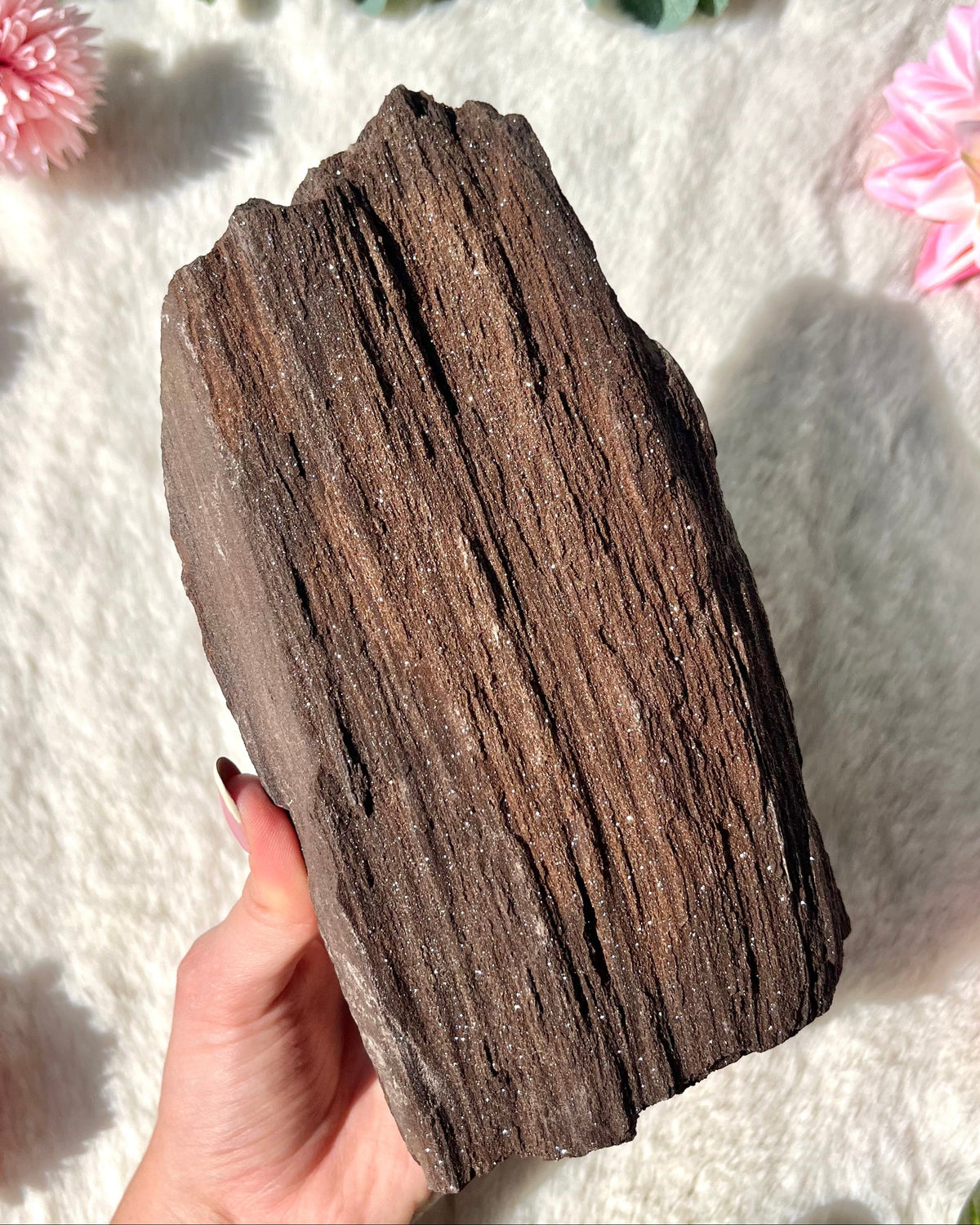Feenholz Stück 449