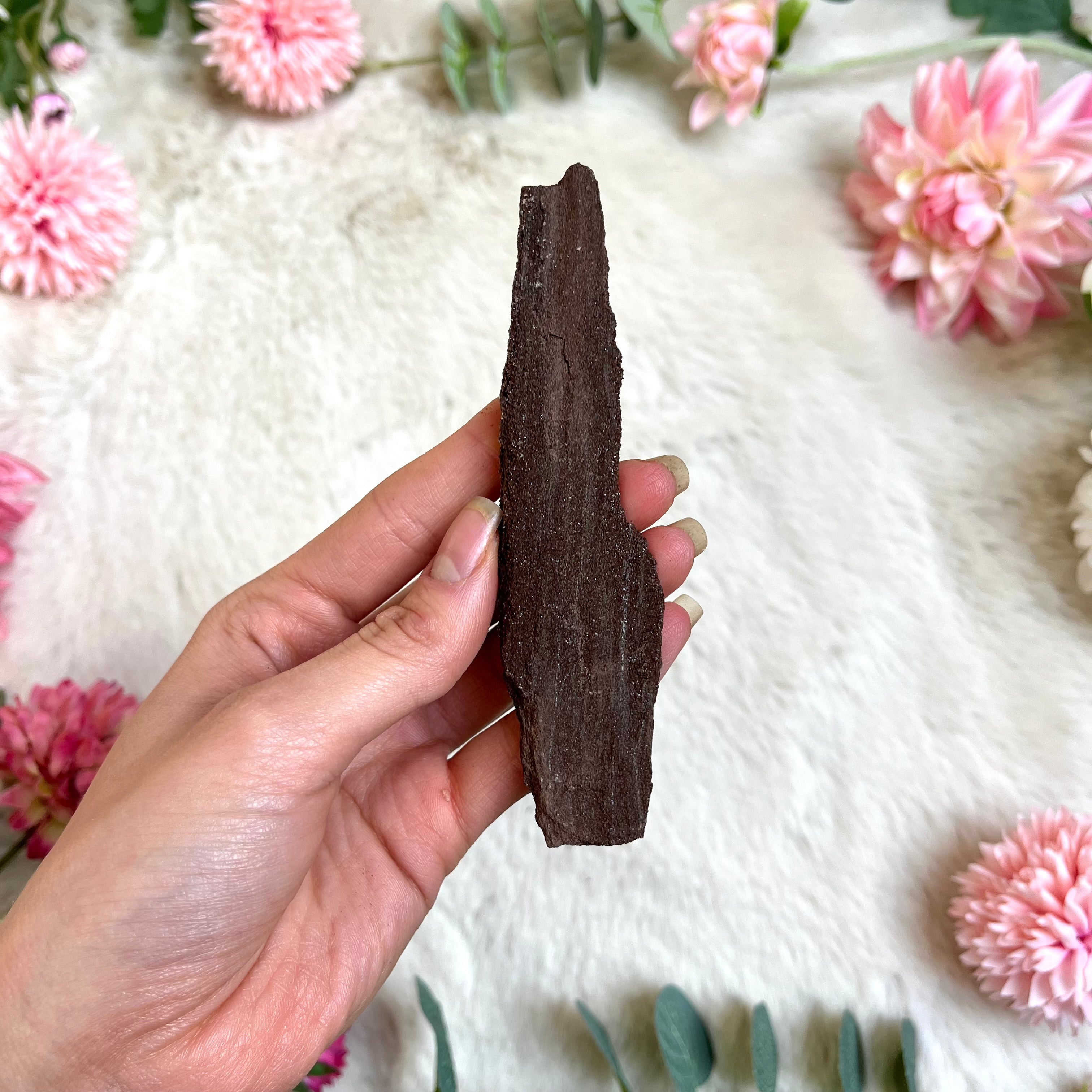 Versteinertes Holz 218-219