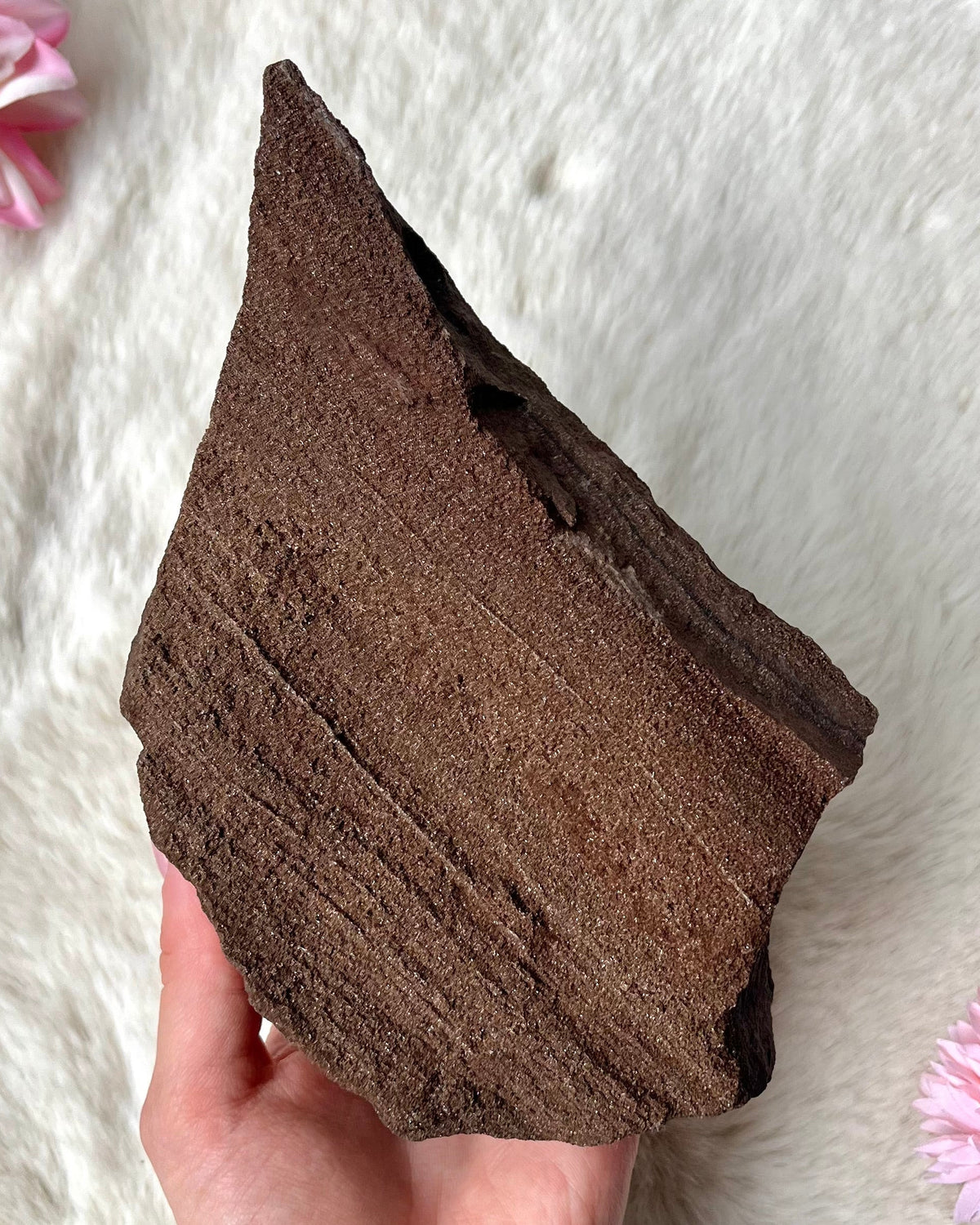 Feenholz Stück 429