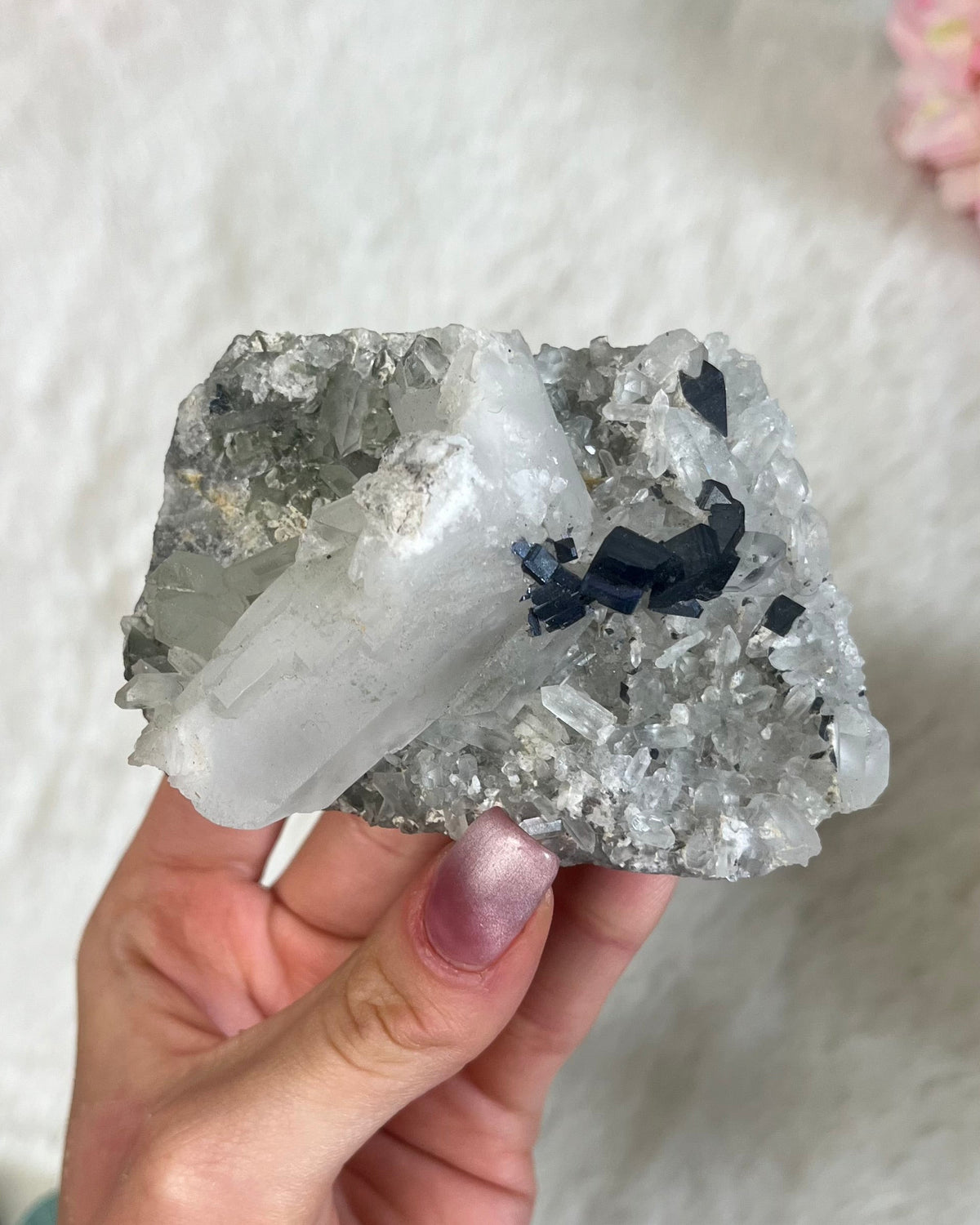 Anatas auf Quarz Stufe Natur 160