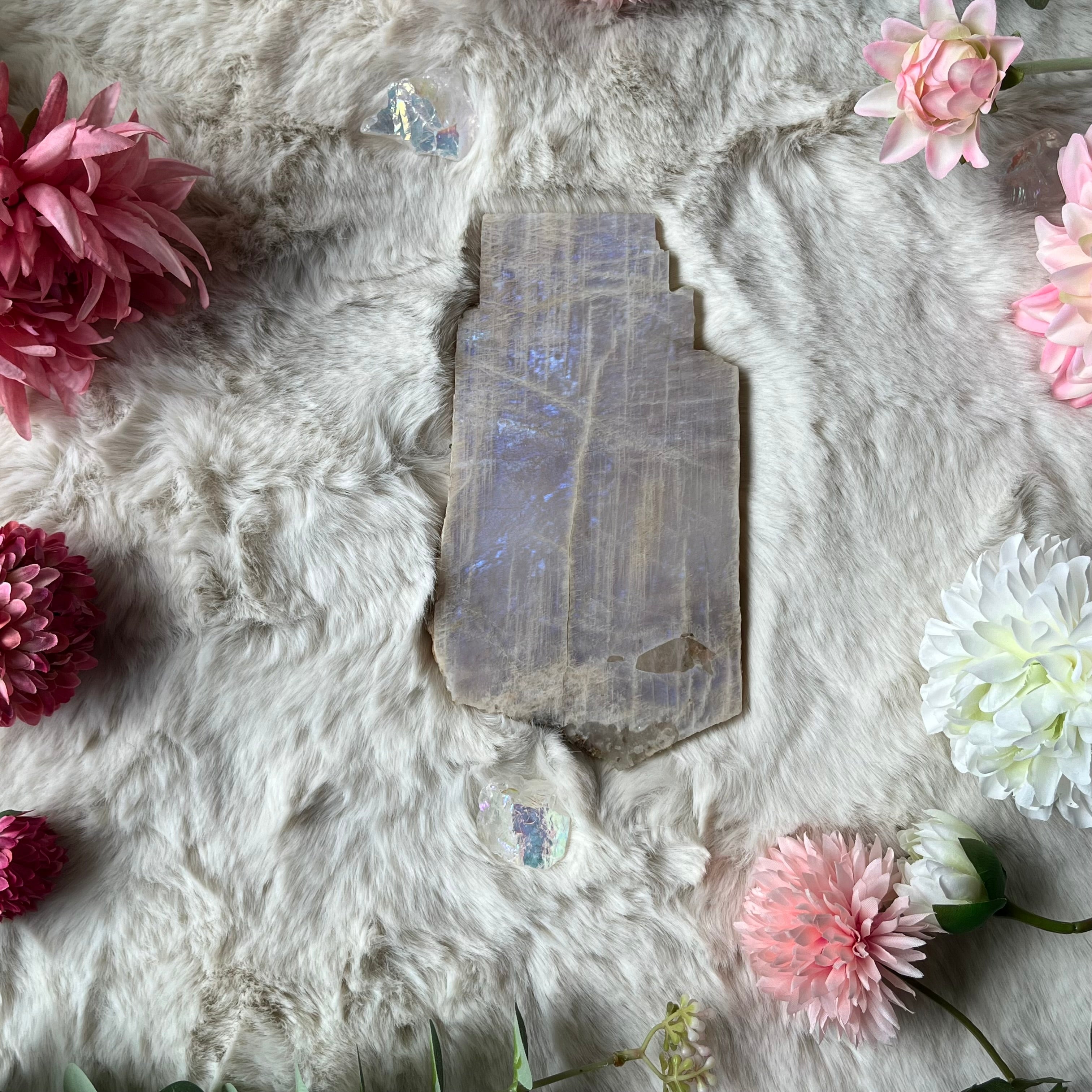 Mondstein Scheibe 79