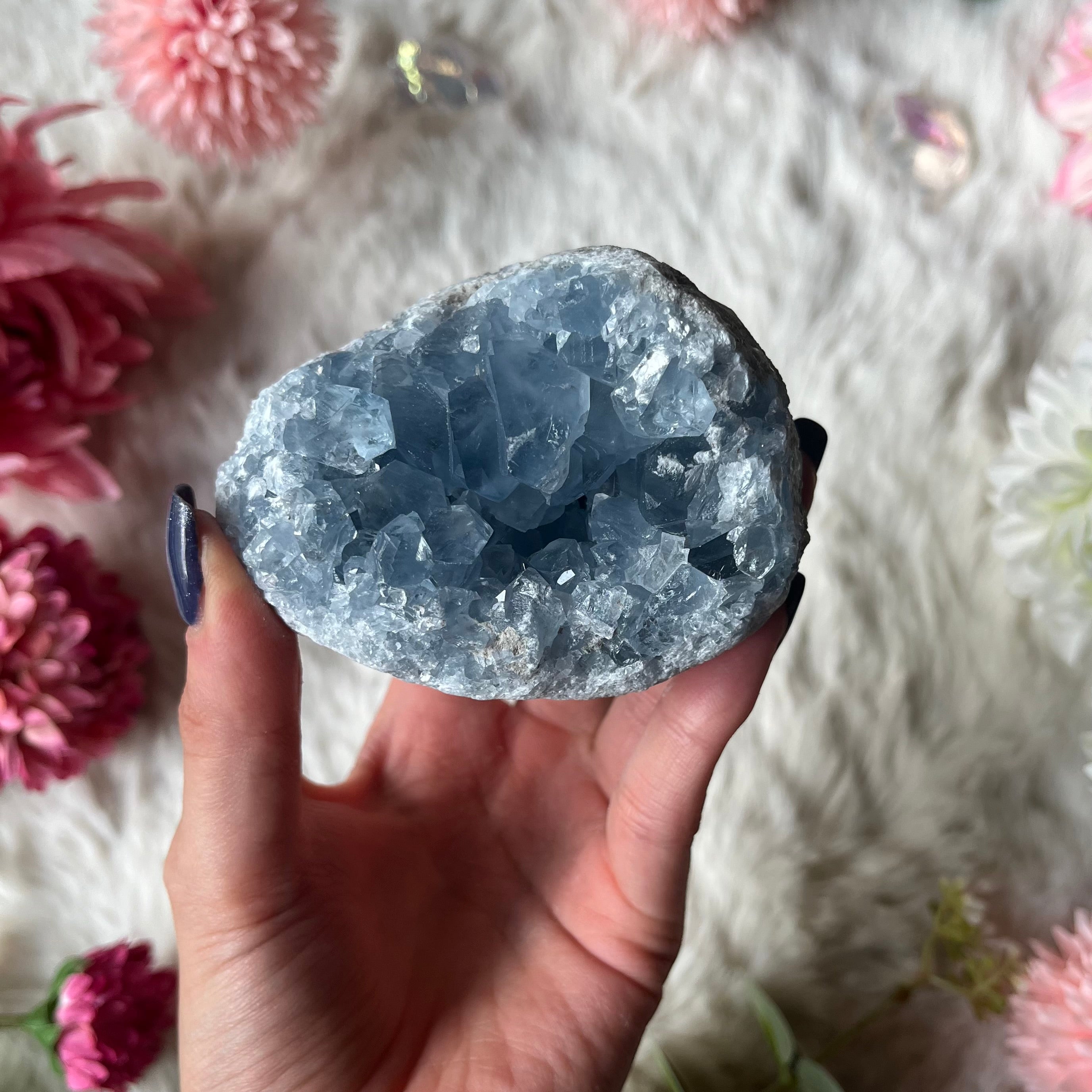 Coalestin Stufe 109-116