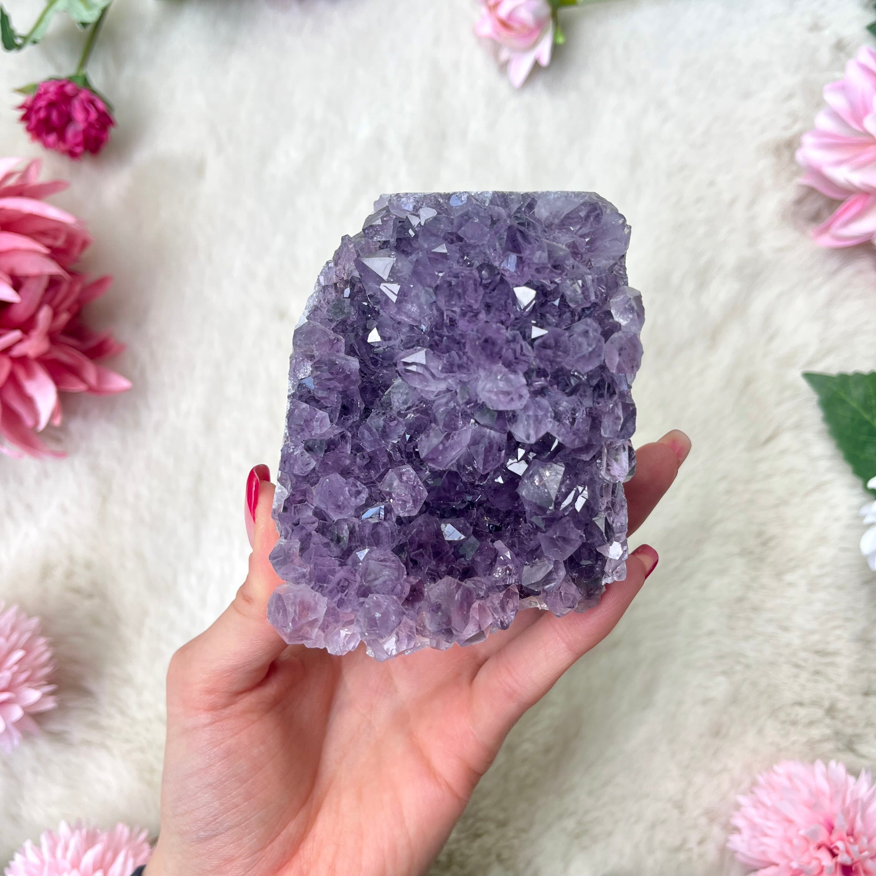 Amethyst Druse 342