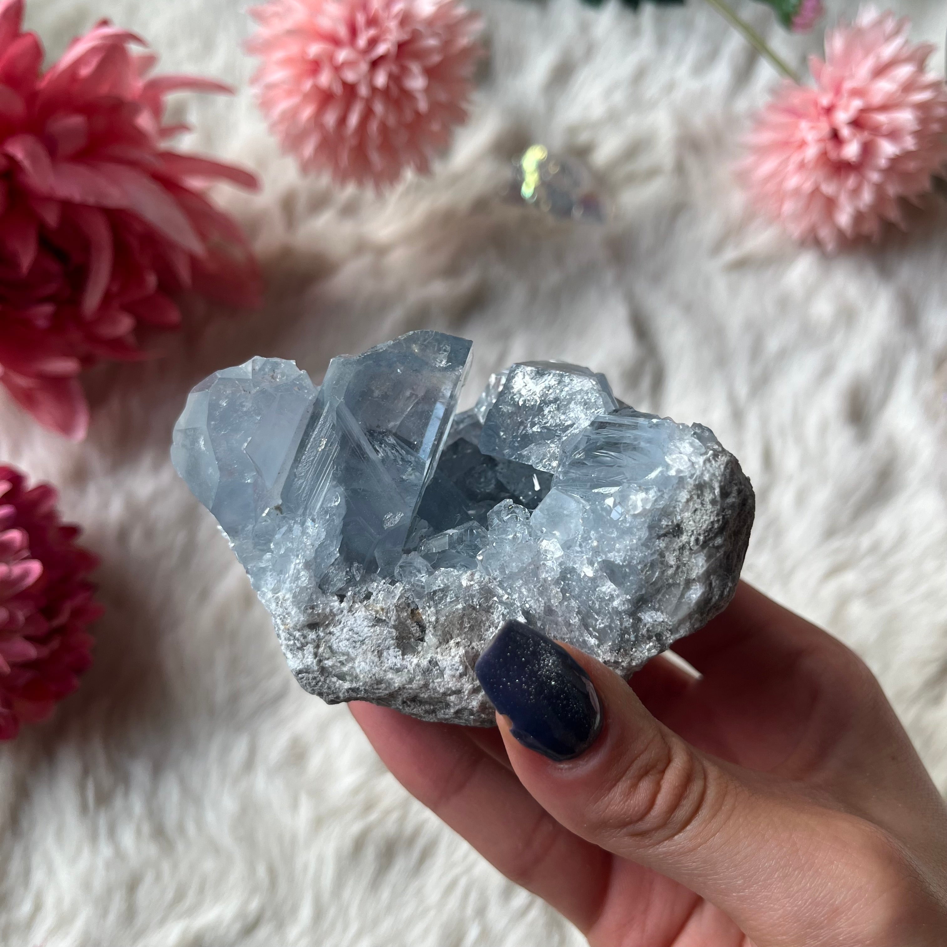 Coalestin Stufe 109-116