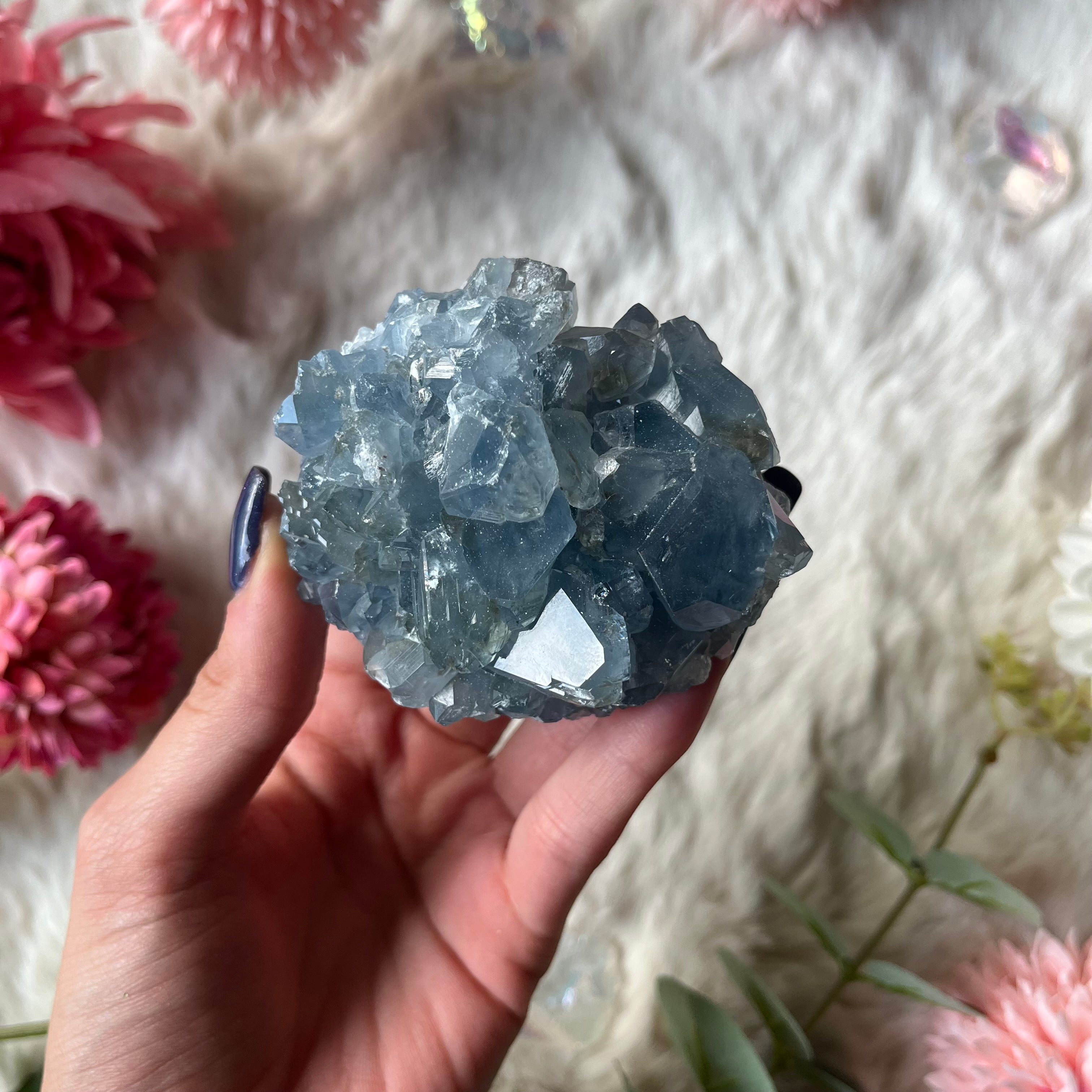 Coalestin Stufe 109-116