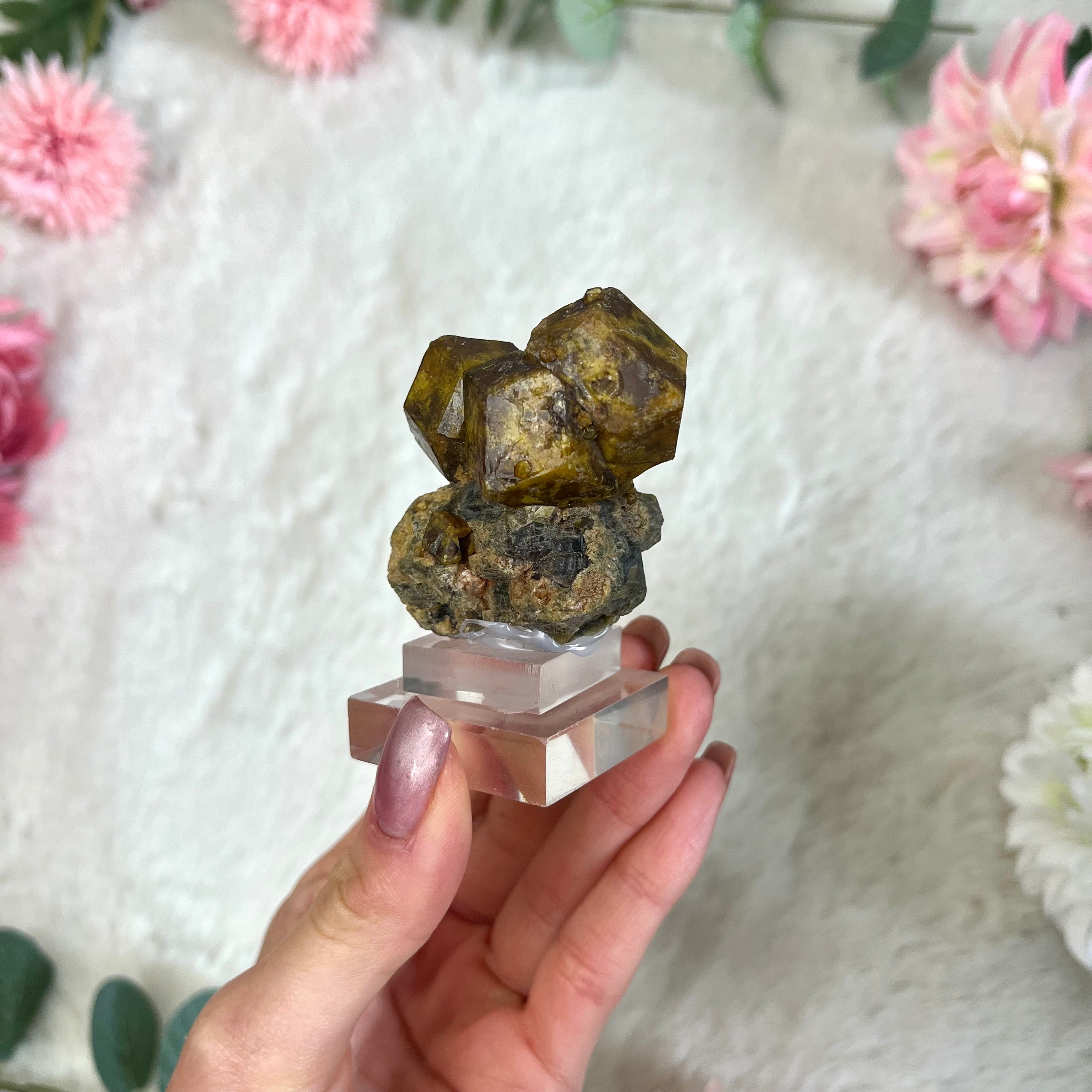 Granat Formation Natur 157