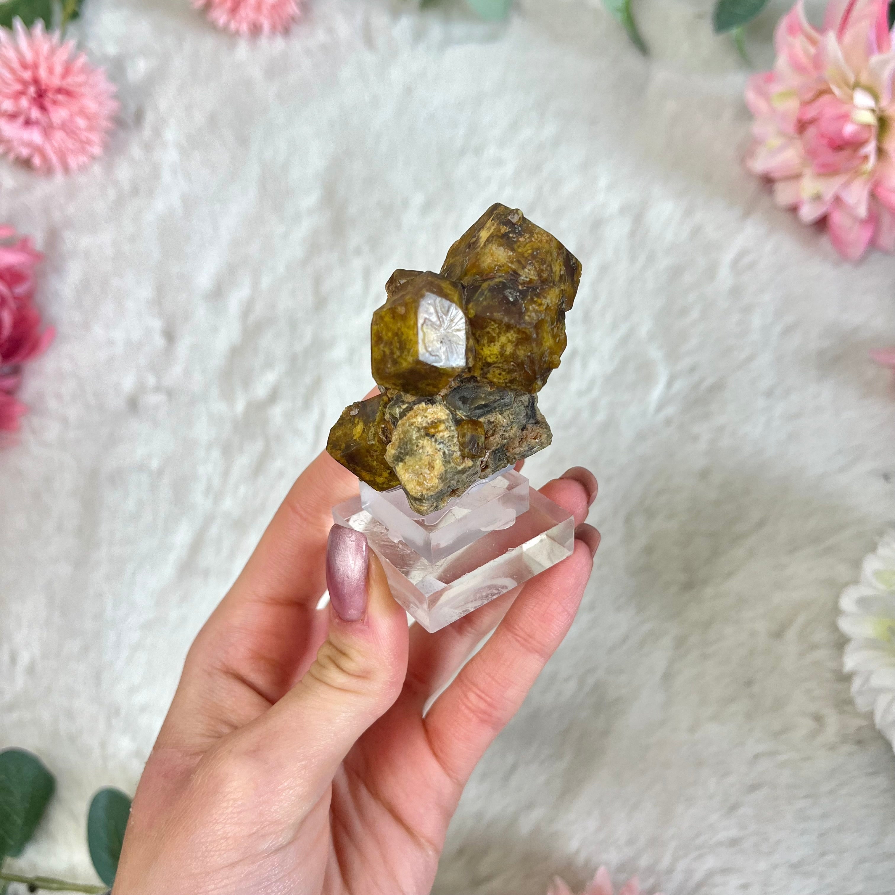 Granat Formation Natur 157
