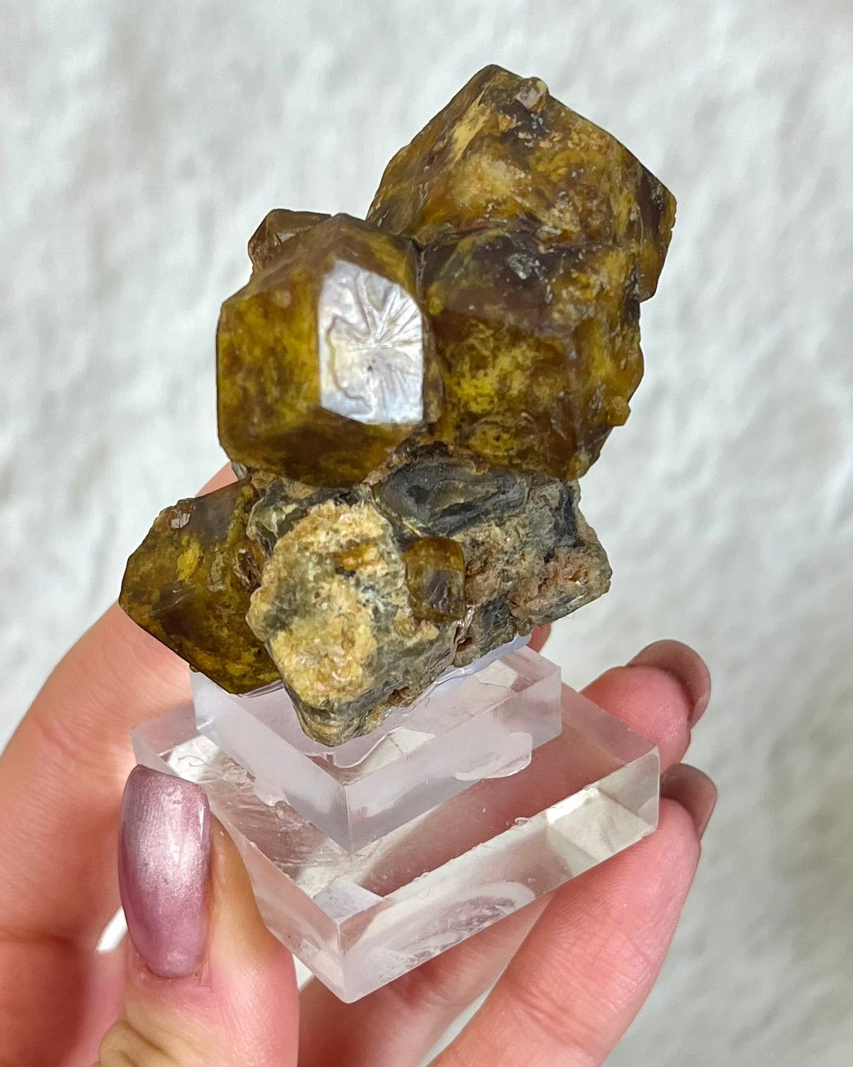 Granat Formation Natur 157