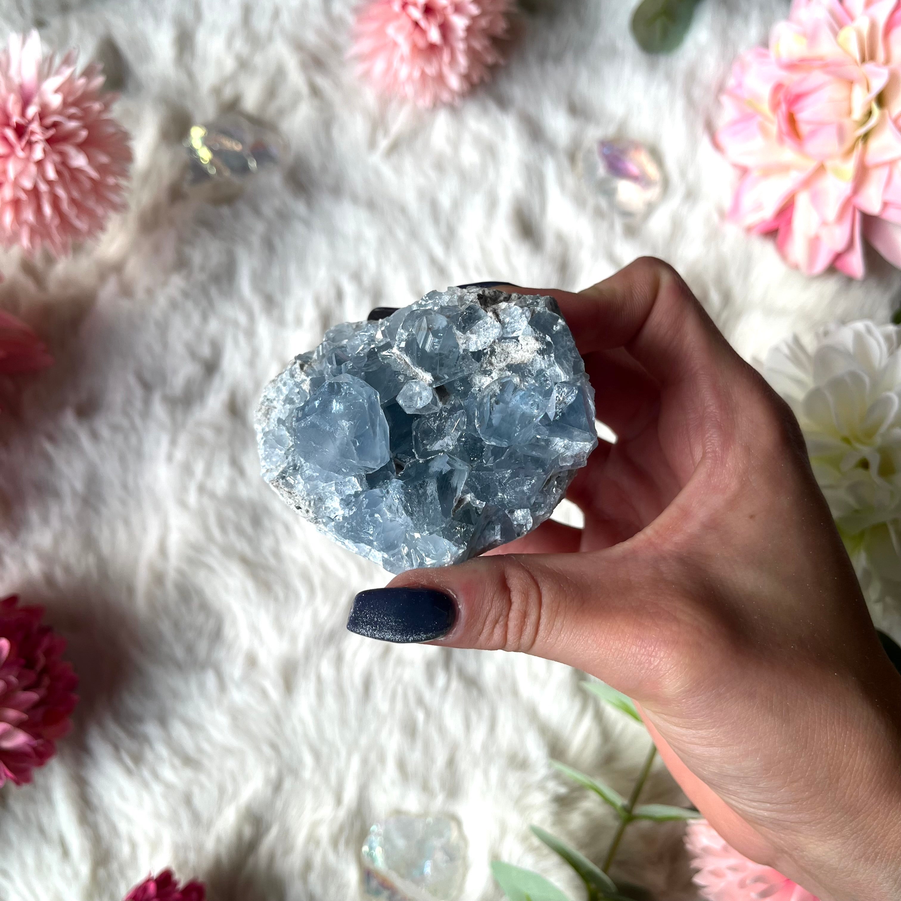 Coalestin Stufe 109-116