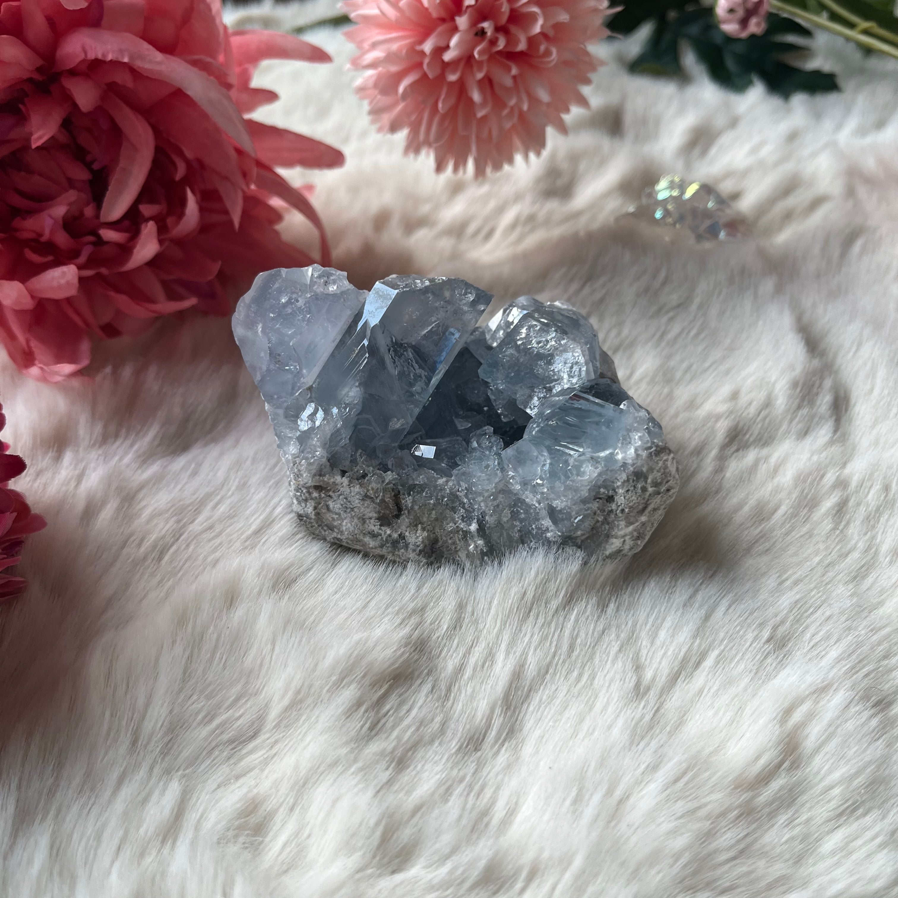 Coalestin Stufe 109-116