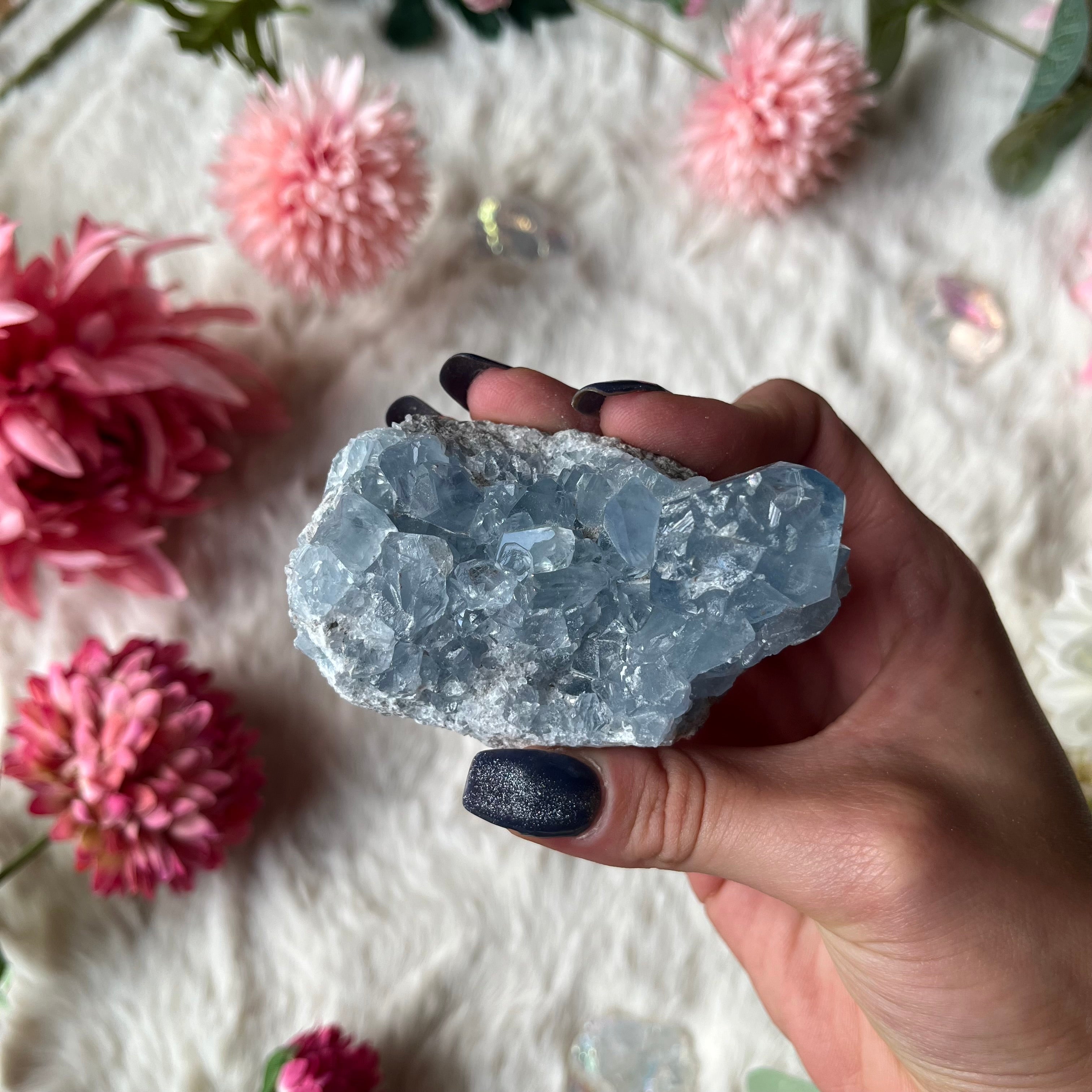 Coalestin Stufe 109-116