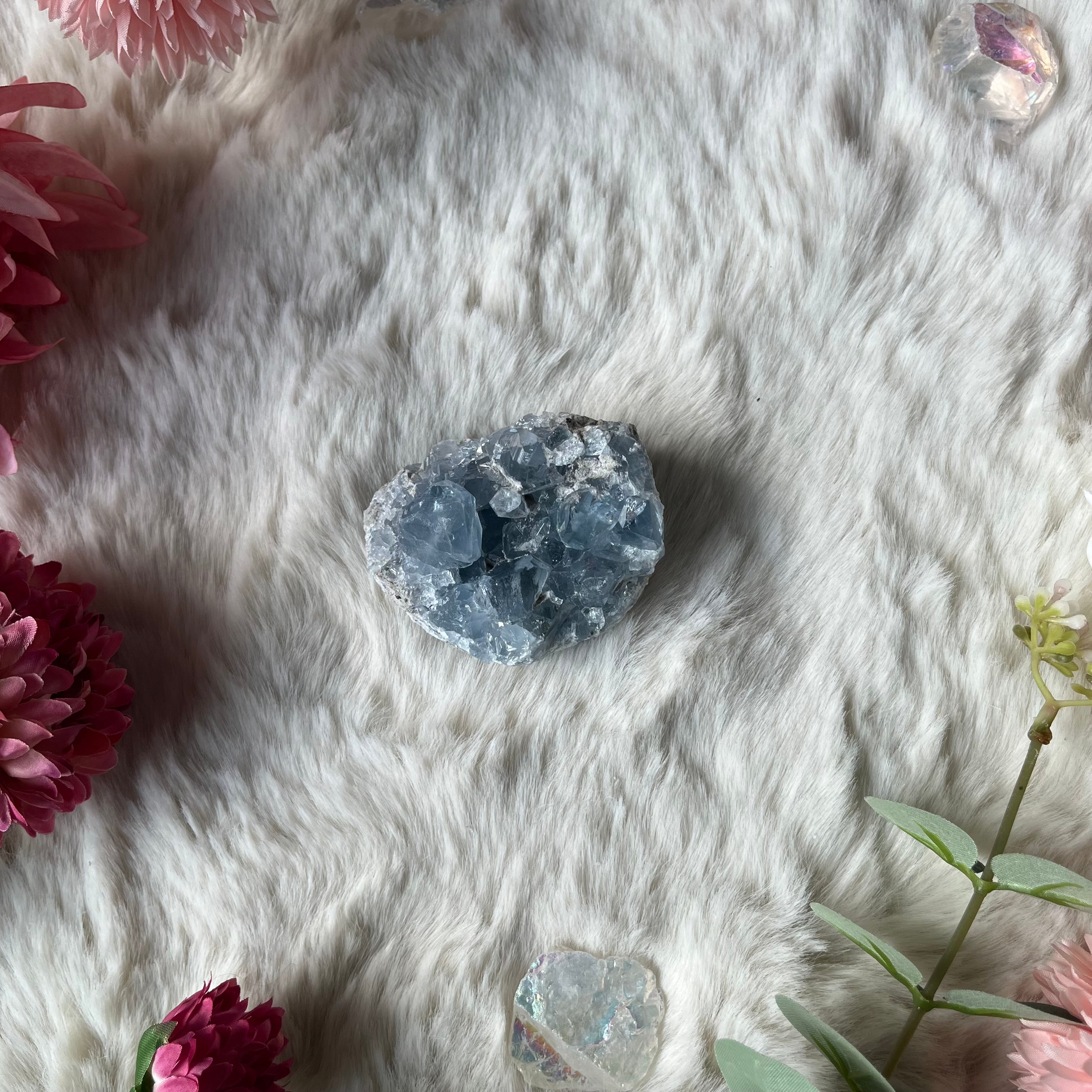 Coalestin Stufe 109-116