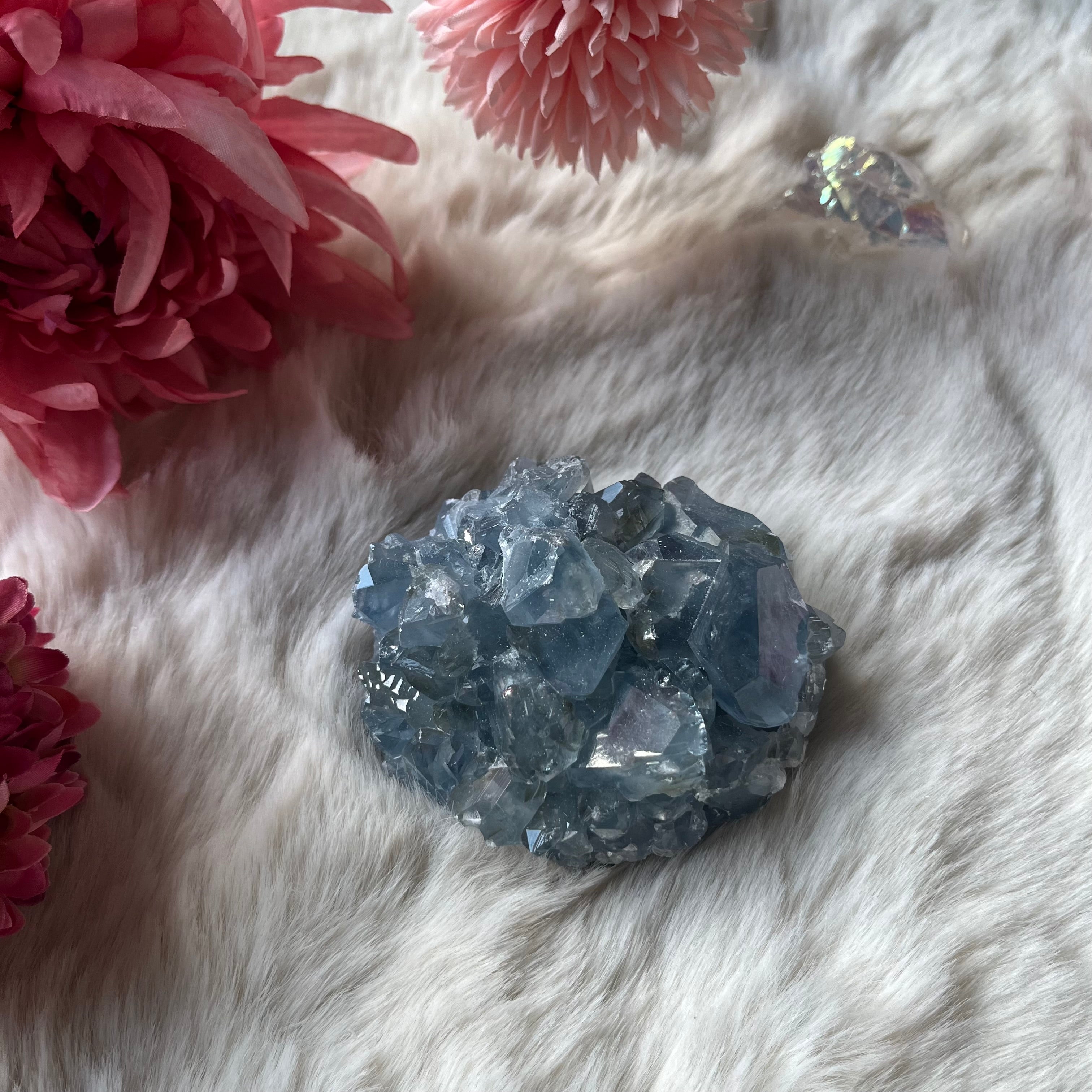 Coalestin Stufe 109-116