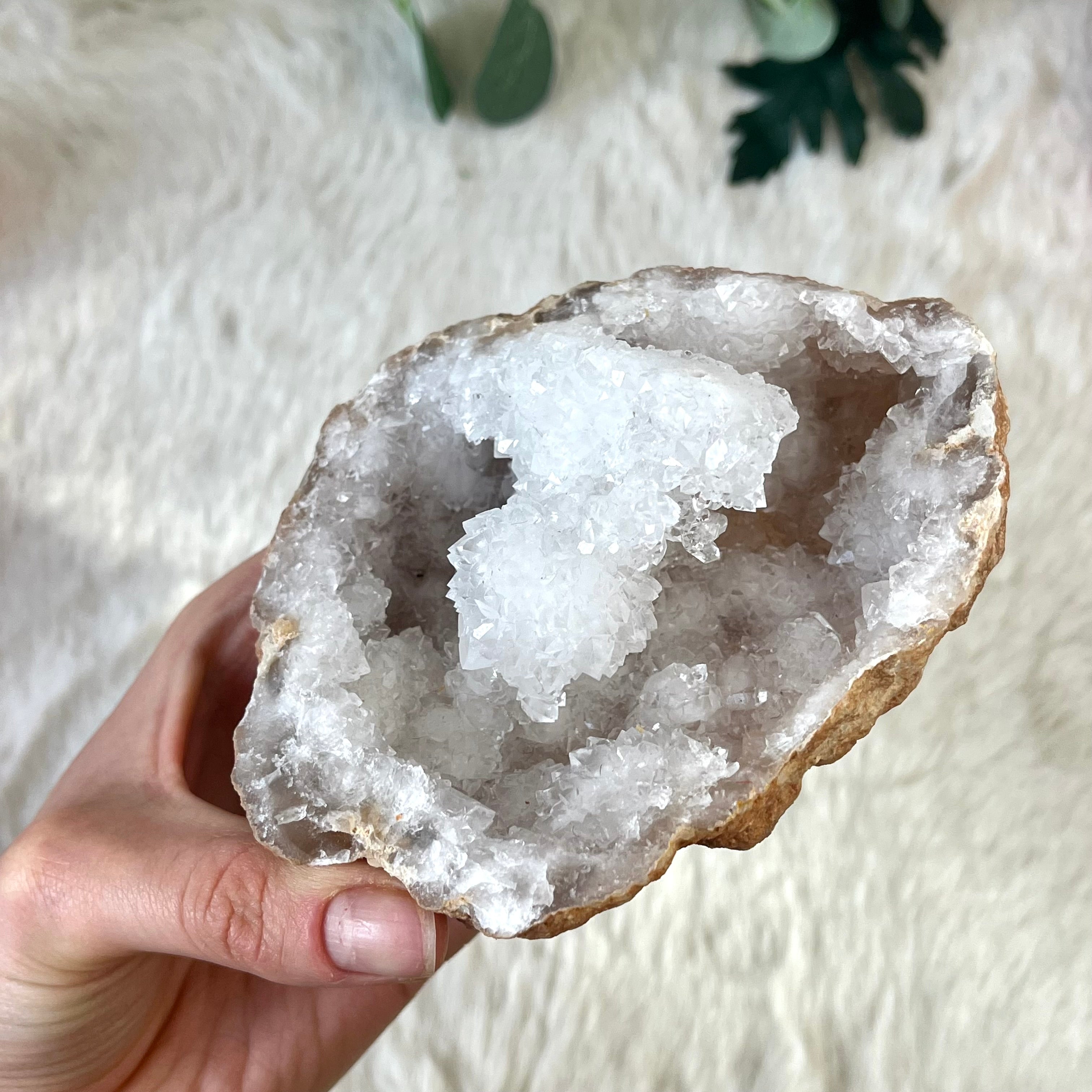 Quarz Geoden L