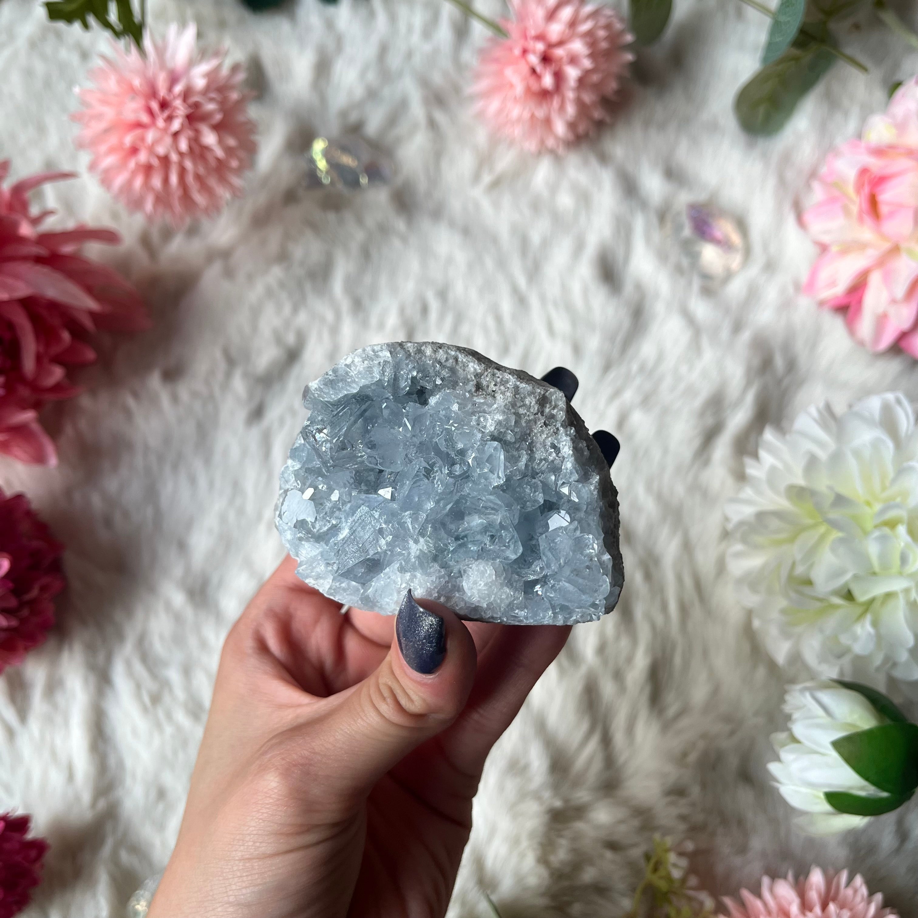 Coalestin Stufe 109-116